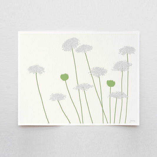 Wild Carrot Queen Anne's Lace Art Print - Framed or Unframed - 150819
