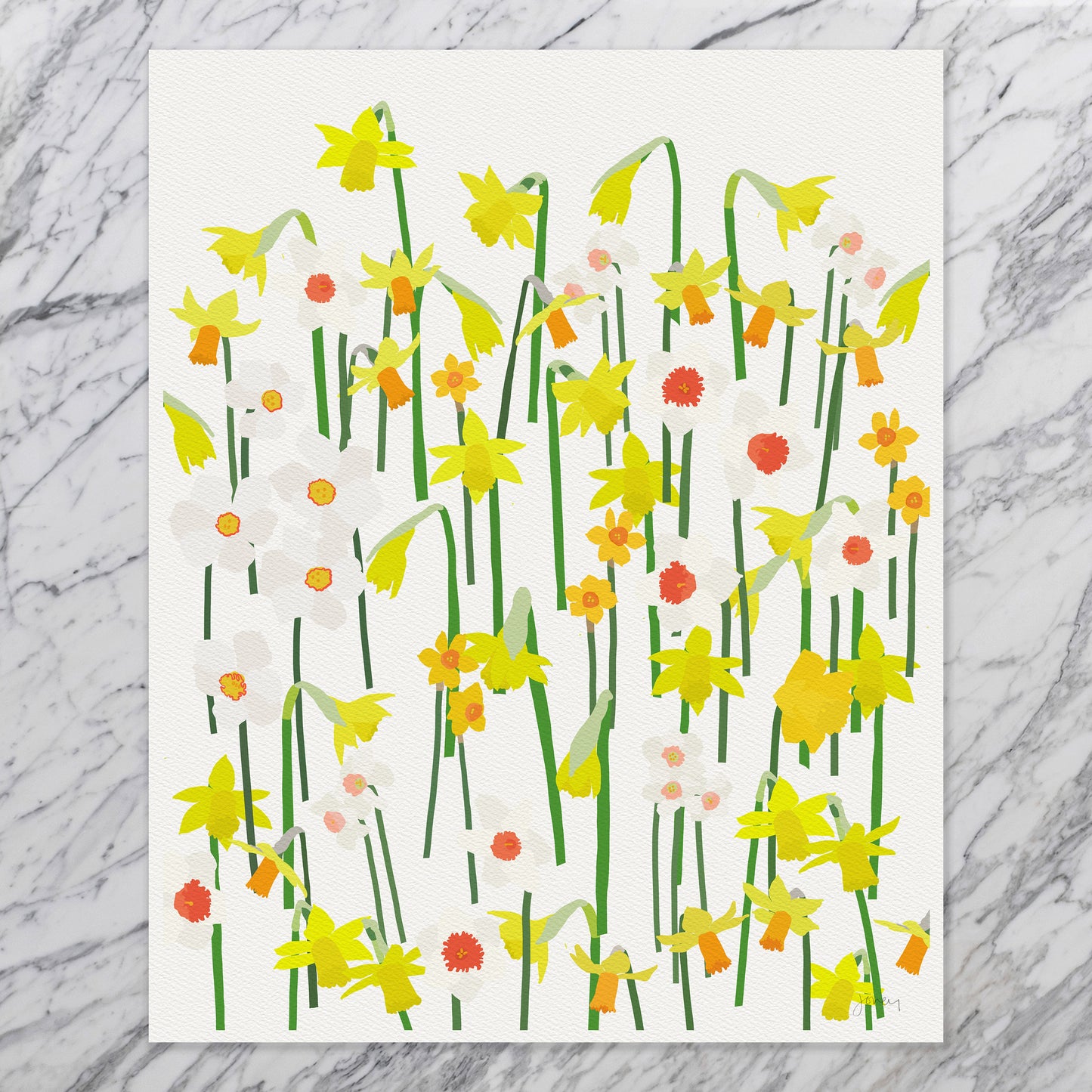 Spring Flowering Daffodils Art Print - Unframed or Framed - 240407