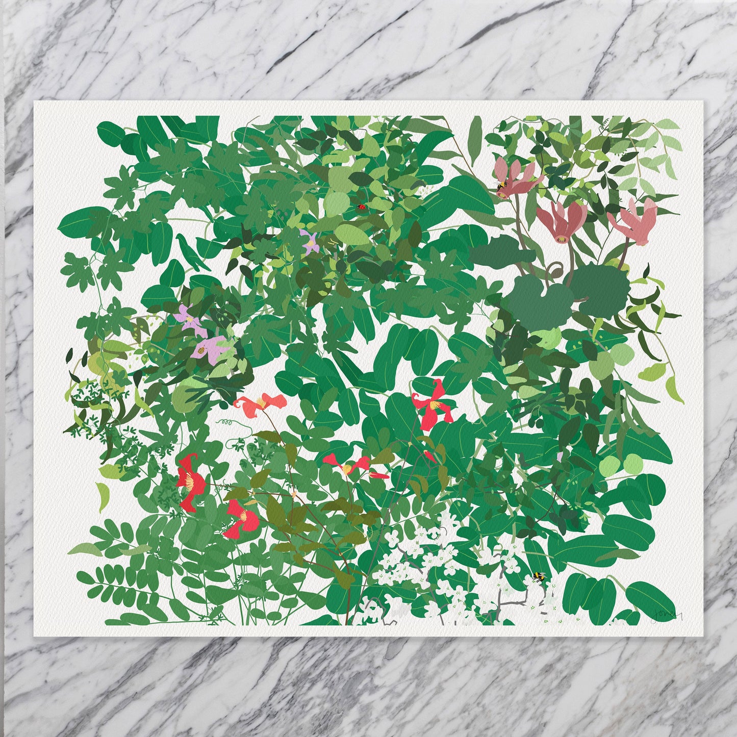 Cardinal Clematis Millefleur Art Print - Unframed or Framed - 210509