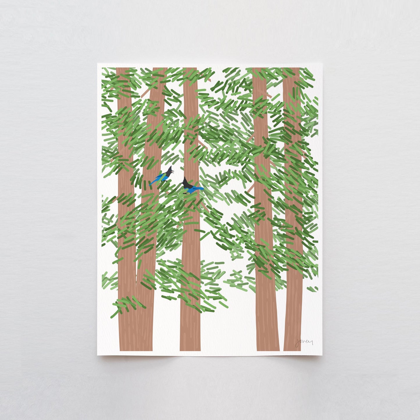Redwood Trees with Steller's Jays - Signed - 260721