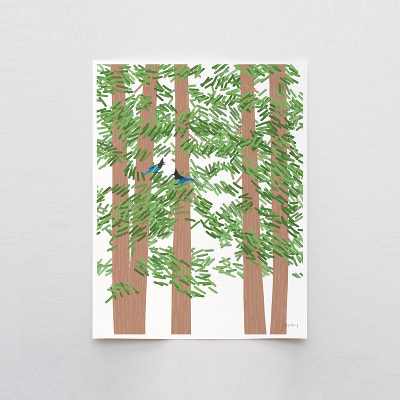 Redwood Trees with Steller's Jays - Signed - 260721