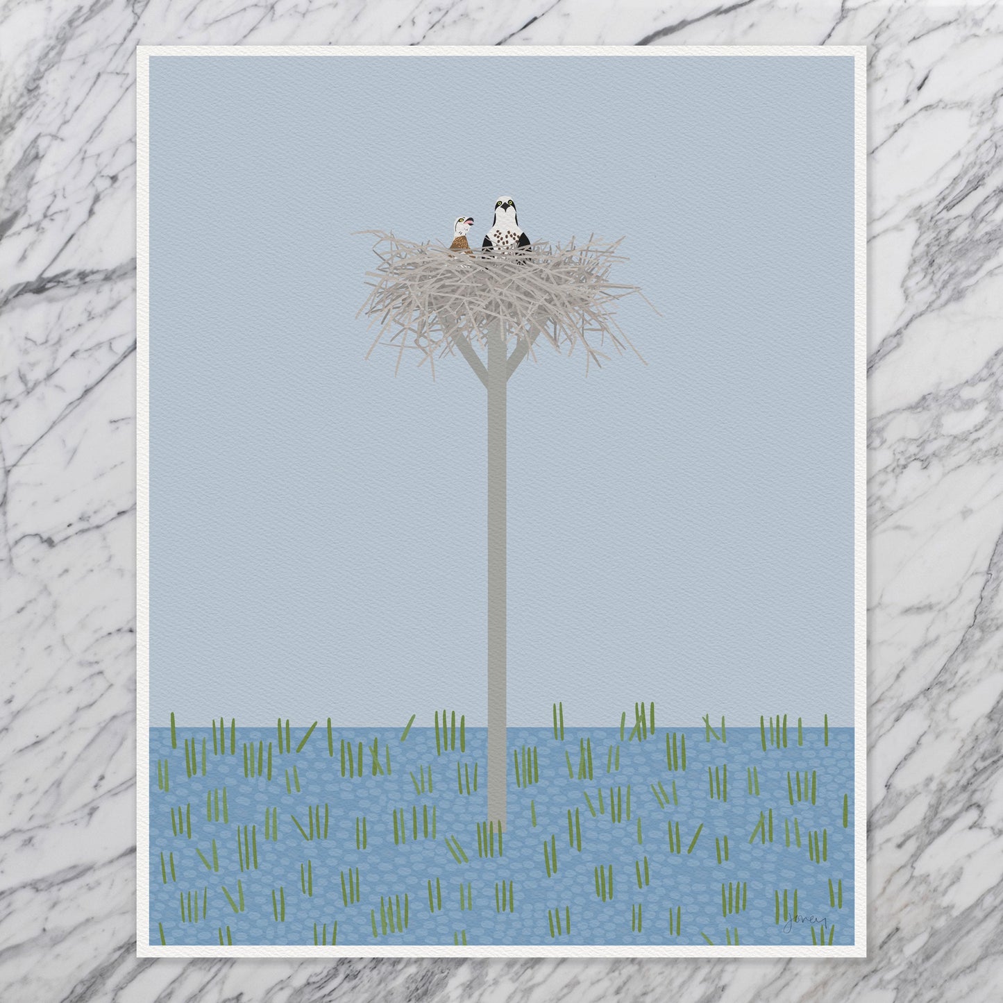 Osprey and Chick in Nest Art Print - Signed - 260621