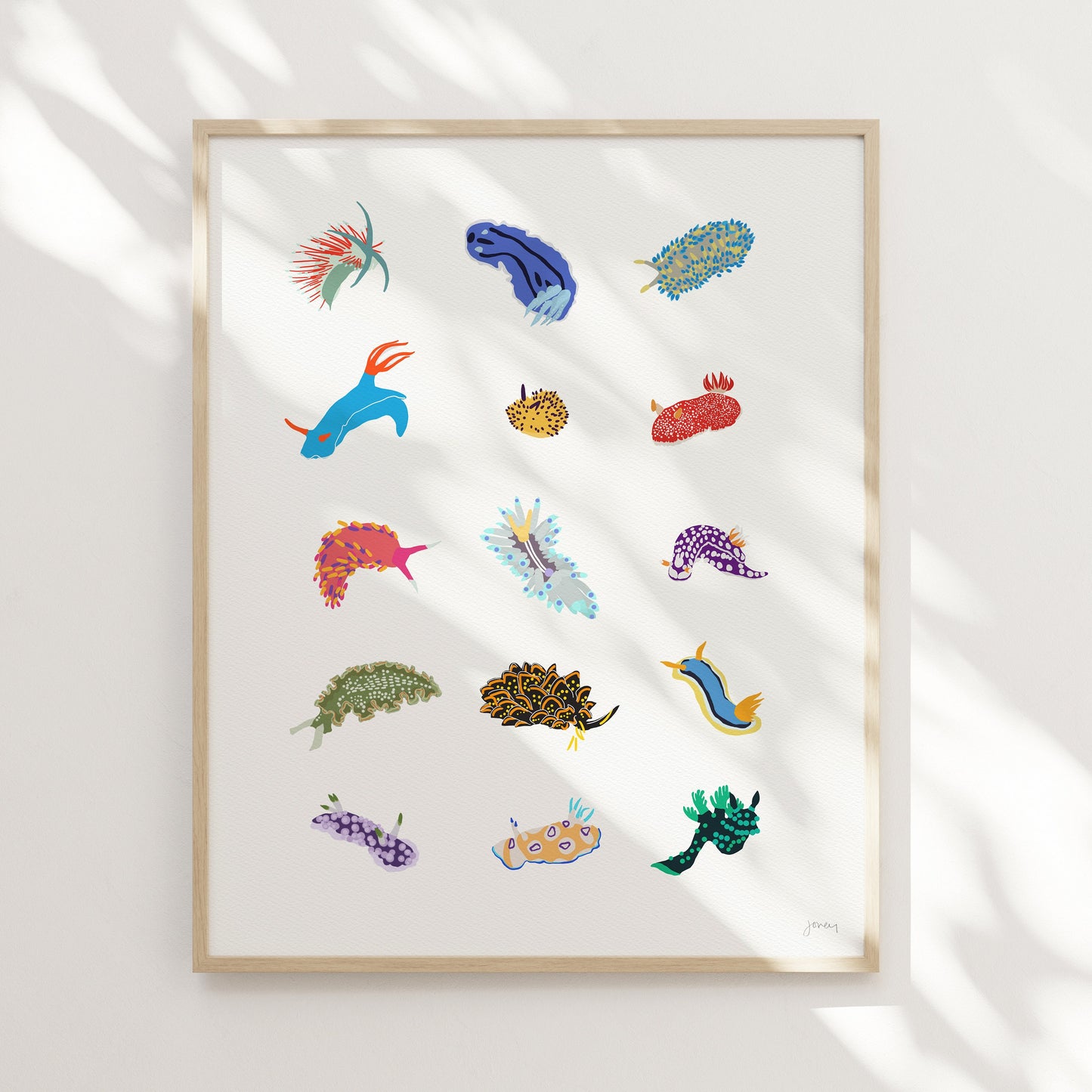 Nudibranch Sea Slugs Art Print - Unframed or Framed - 240302