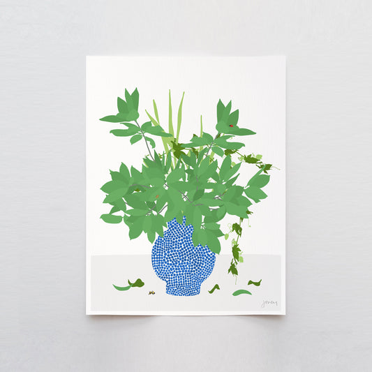 Bay Laurel Still Life Art Print - Unframed or Framed - 200219