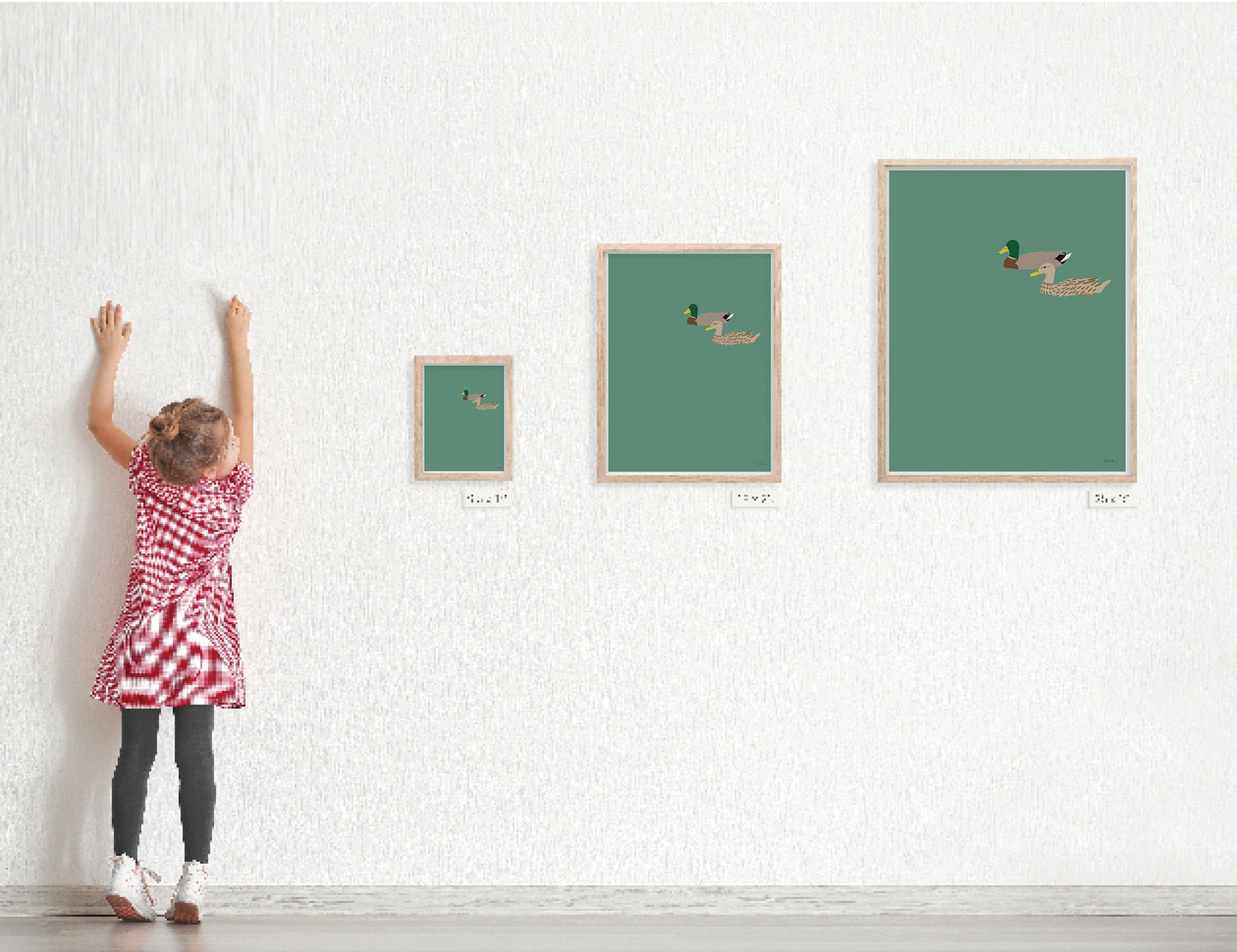 Pair of Mallards Art Print - Unframed or Framed - 160109