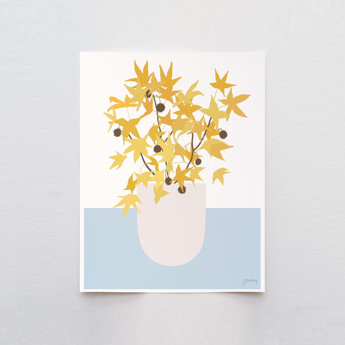 Sweet Gum Pods Abstract Still Life Art Print - Unframed or Framed - 241103