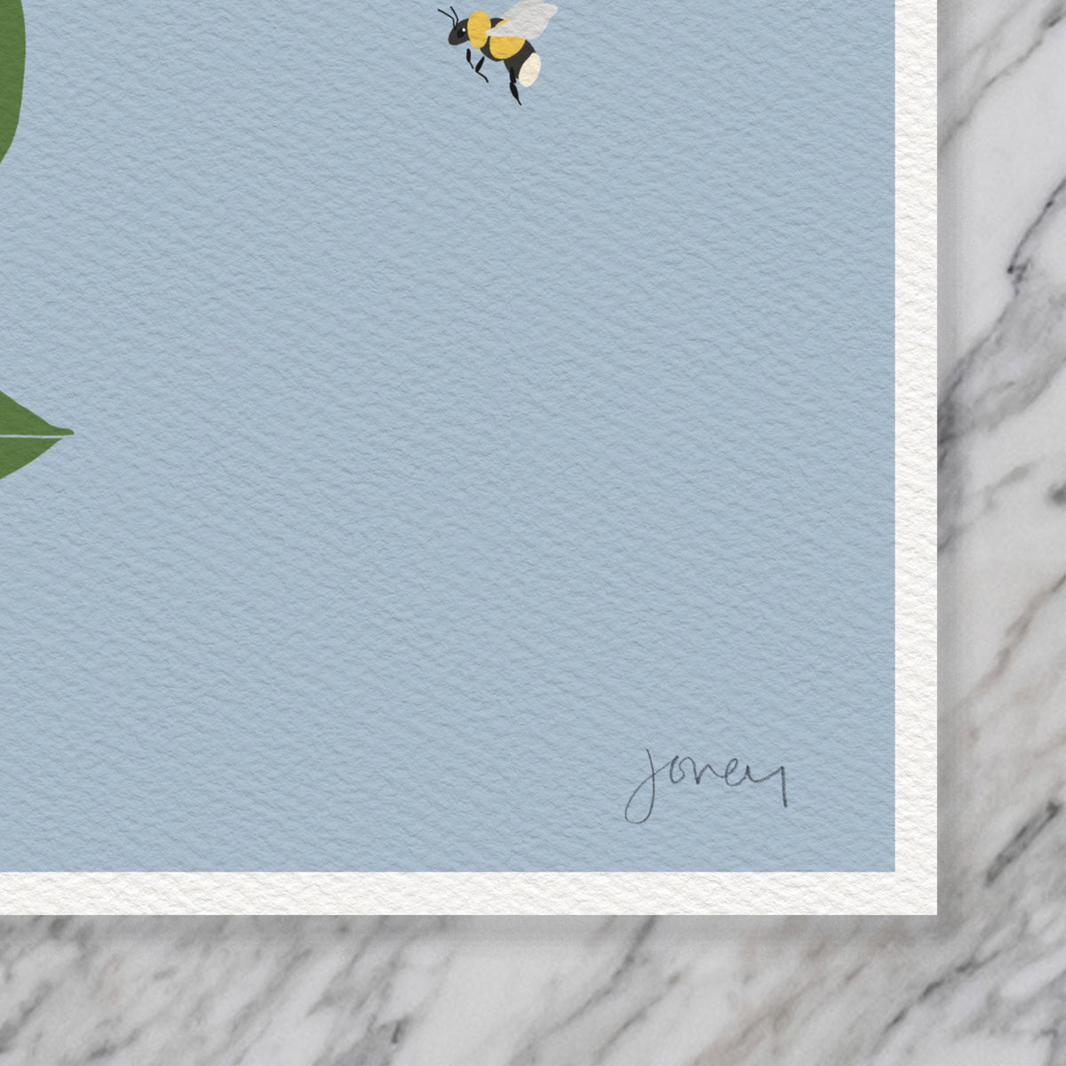 Wren with Limelight Hydrangea, signed art print - 260913