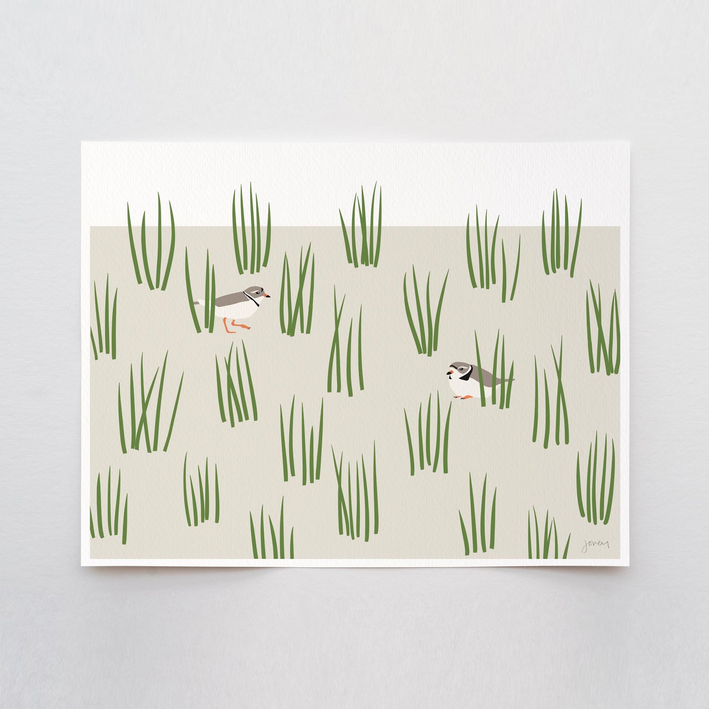 Plovers in Grass Dunes Art Print - Unframed or Framed - 250124