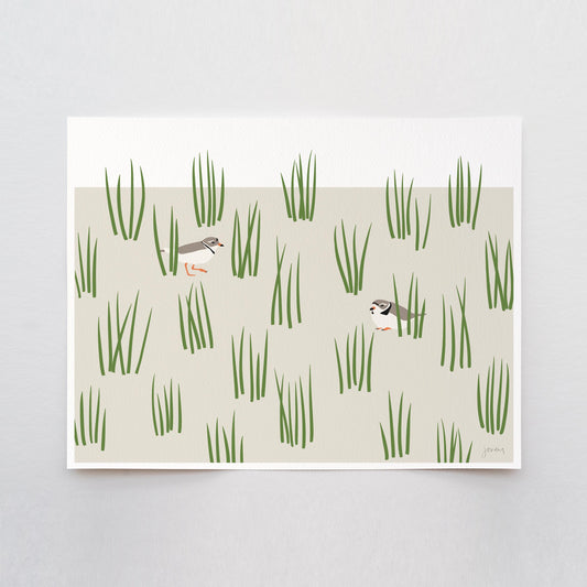 Plovers in Grass Dunes Art Print - Unframed or Framed - 250124