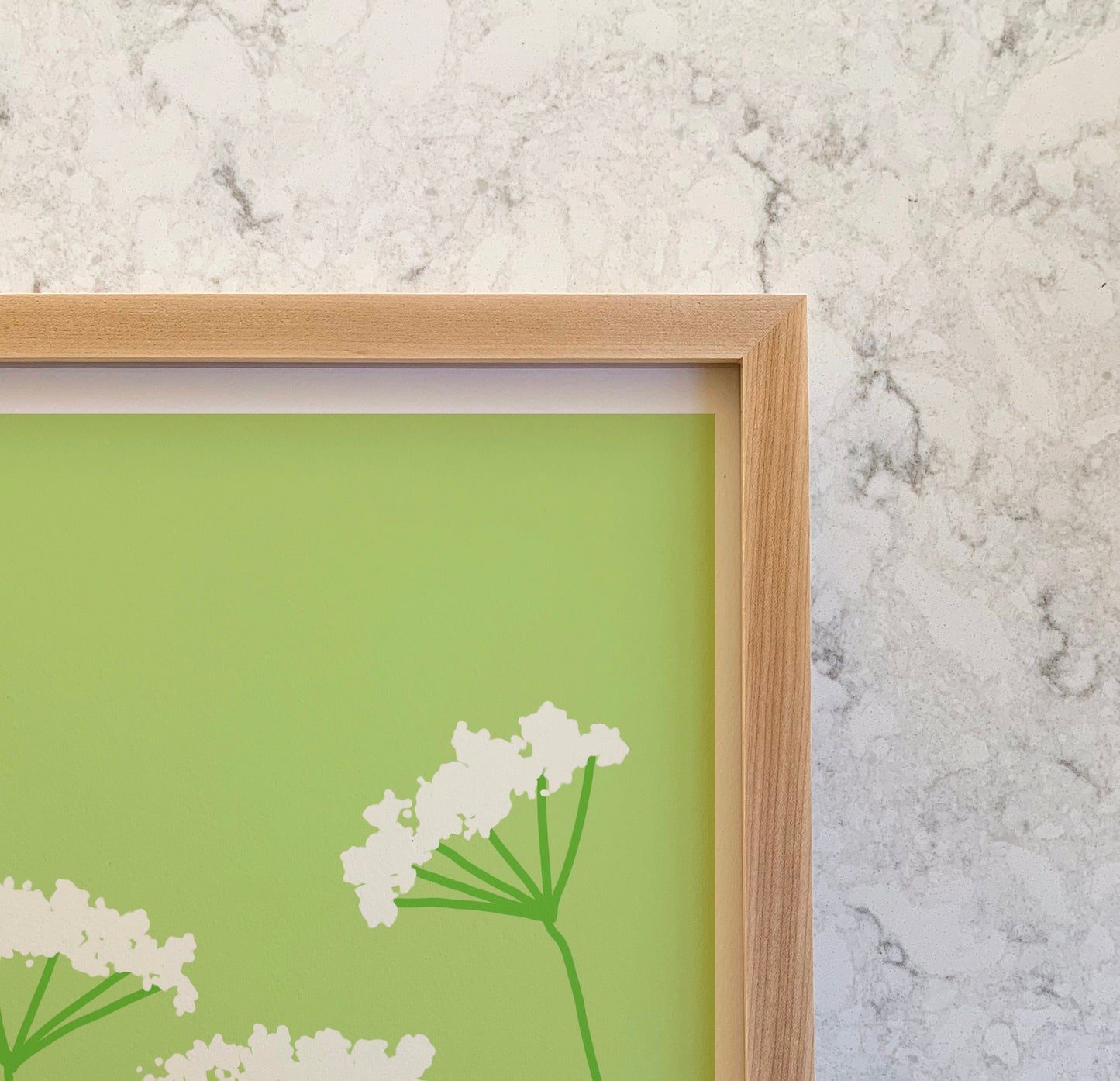 Queen Anne's Lace Art Print - Unframed or Framed - 110801