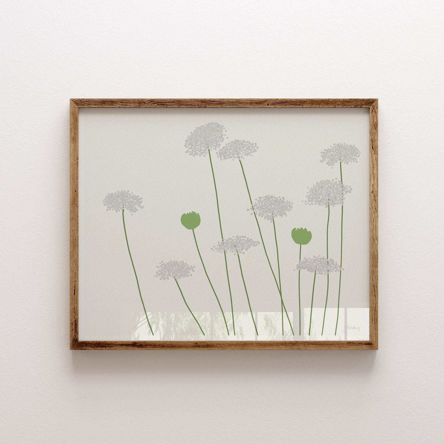 Wild Carrot Queen Anne's Lace Art Print - Framed or Unframed - 150819