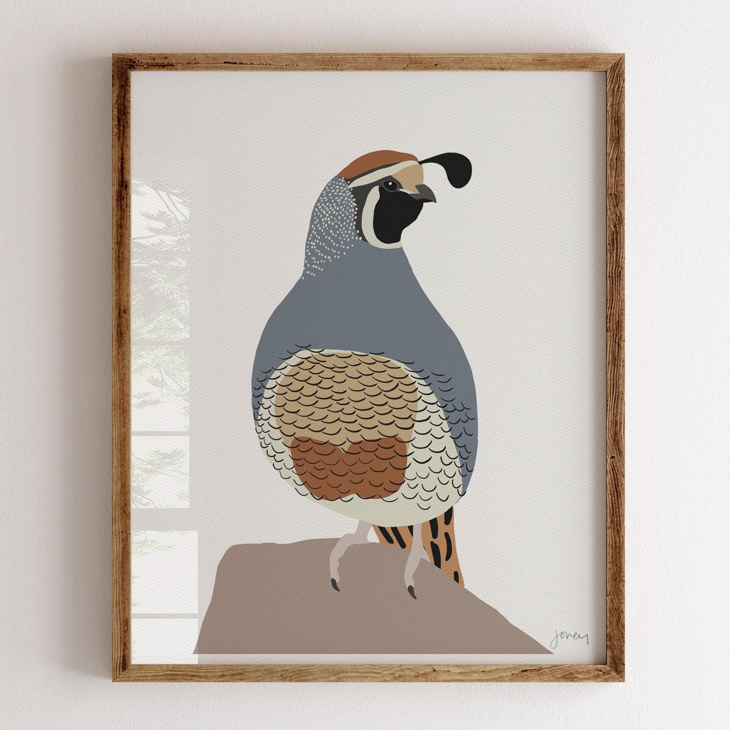 Quail Art Print - Unframed or Framed - 230208