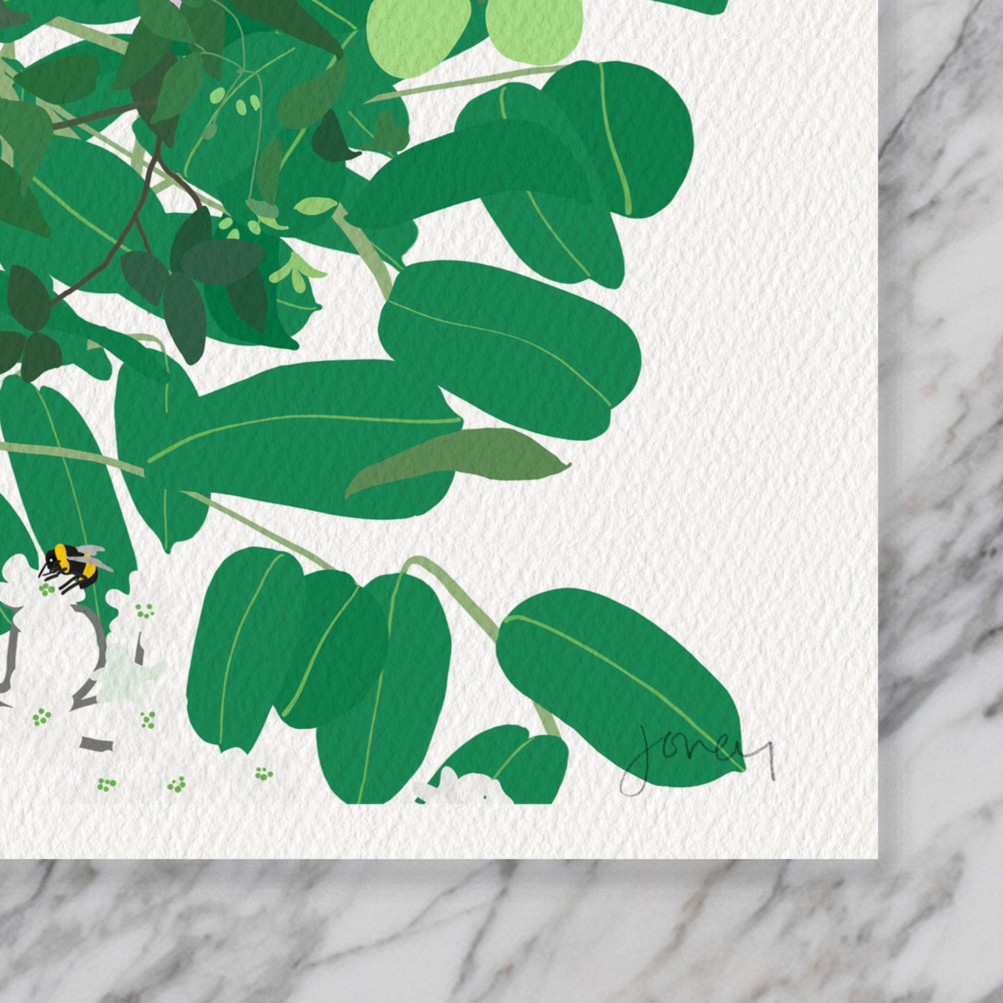 Cardinal Clematis Millefleur Art Print - Unframed or Framed - 210509