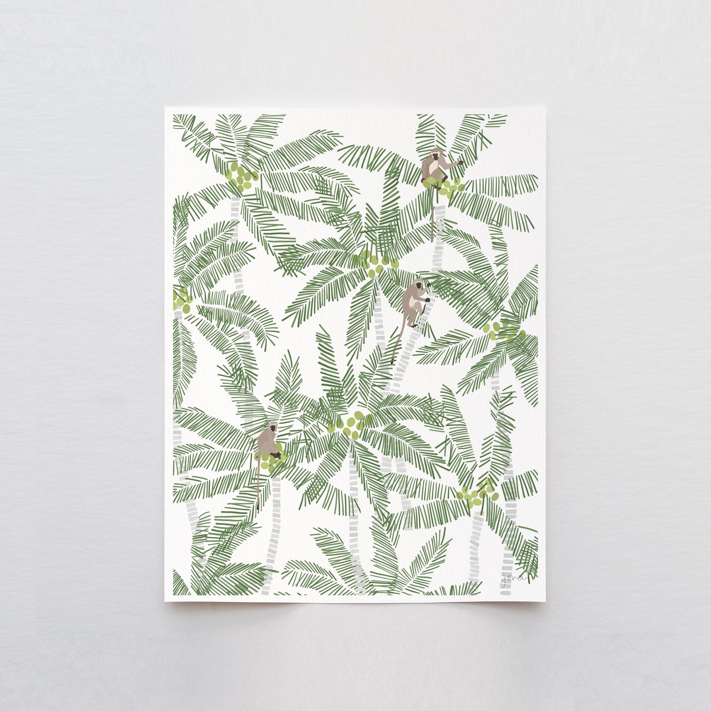 Vervet Monkeys in Palm Trees Art Print - Unframed or Framed - 250316
