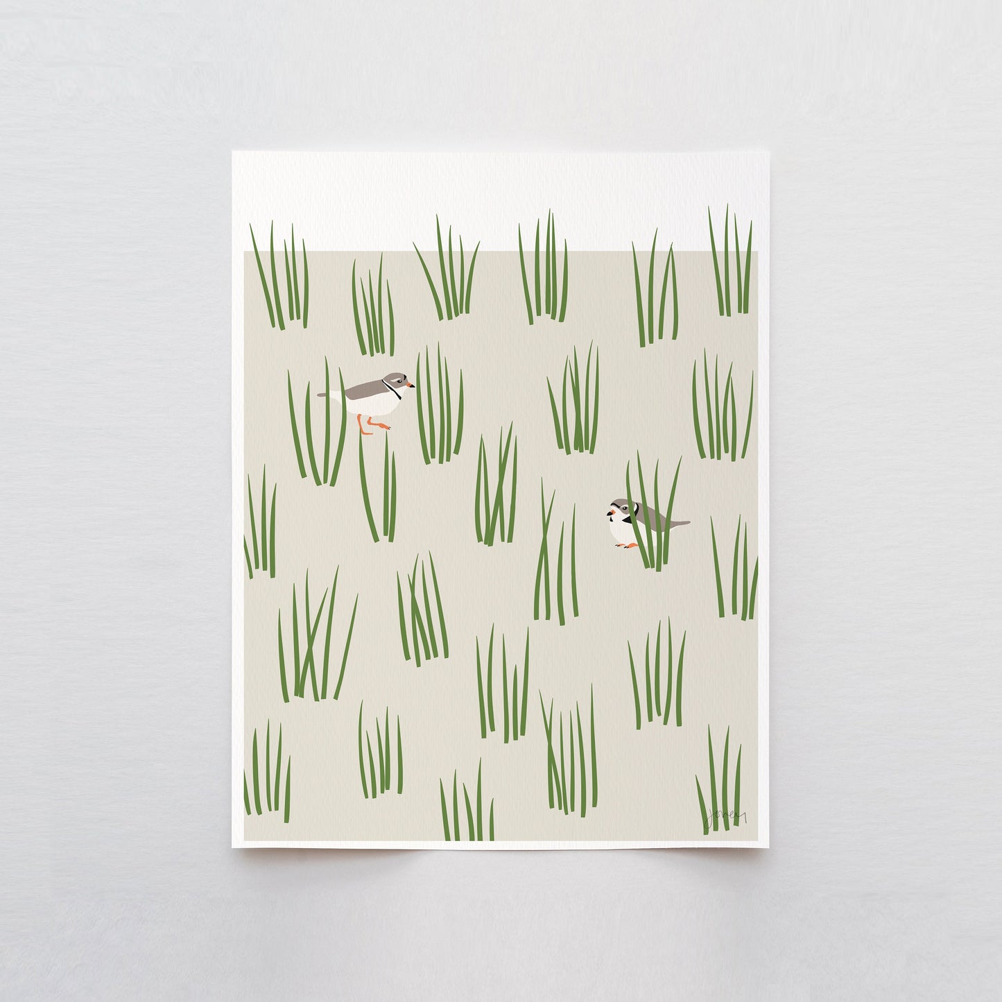 Plovers Art Print - Unframed or Framed - 230617