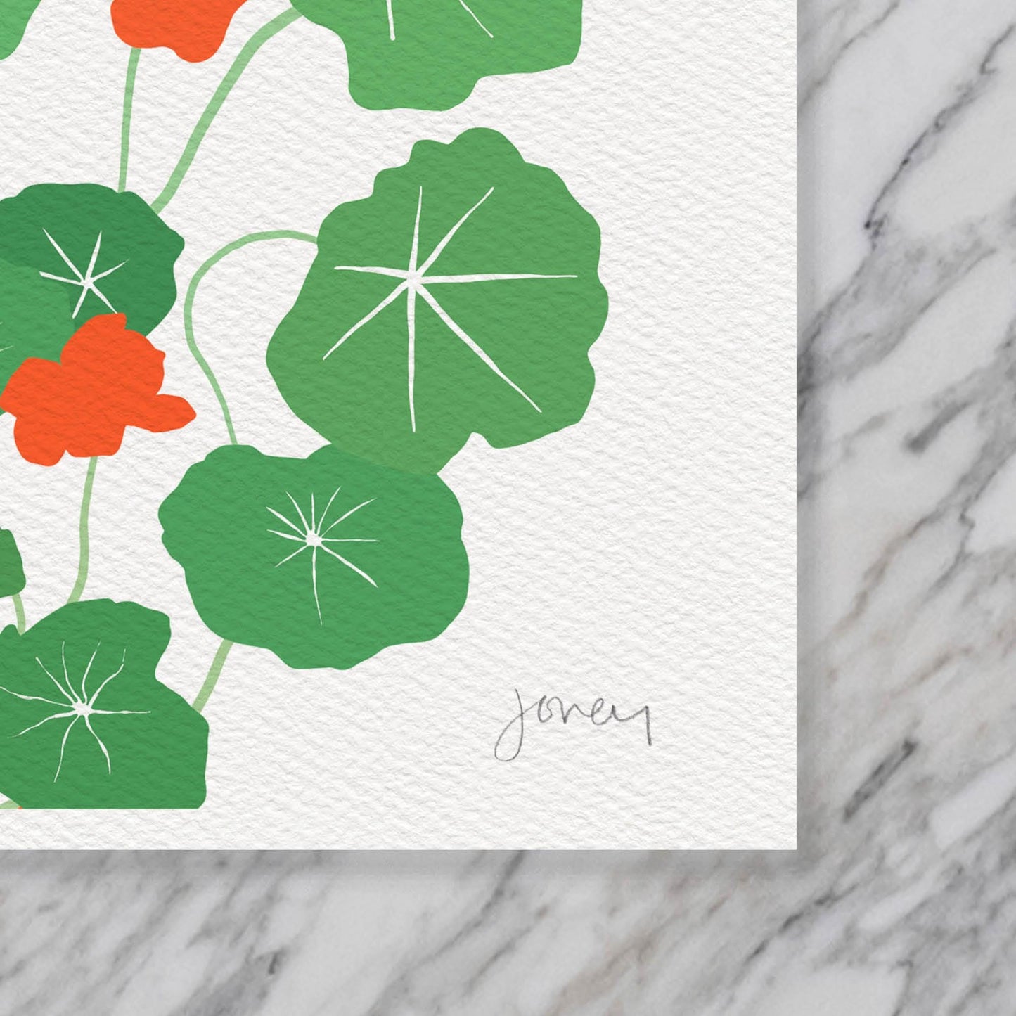 Nasturtium Plant Art Print - Unframed or Framed - 241013