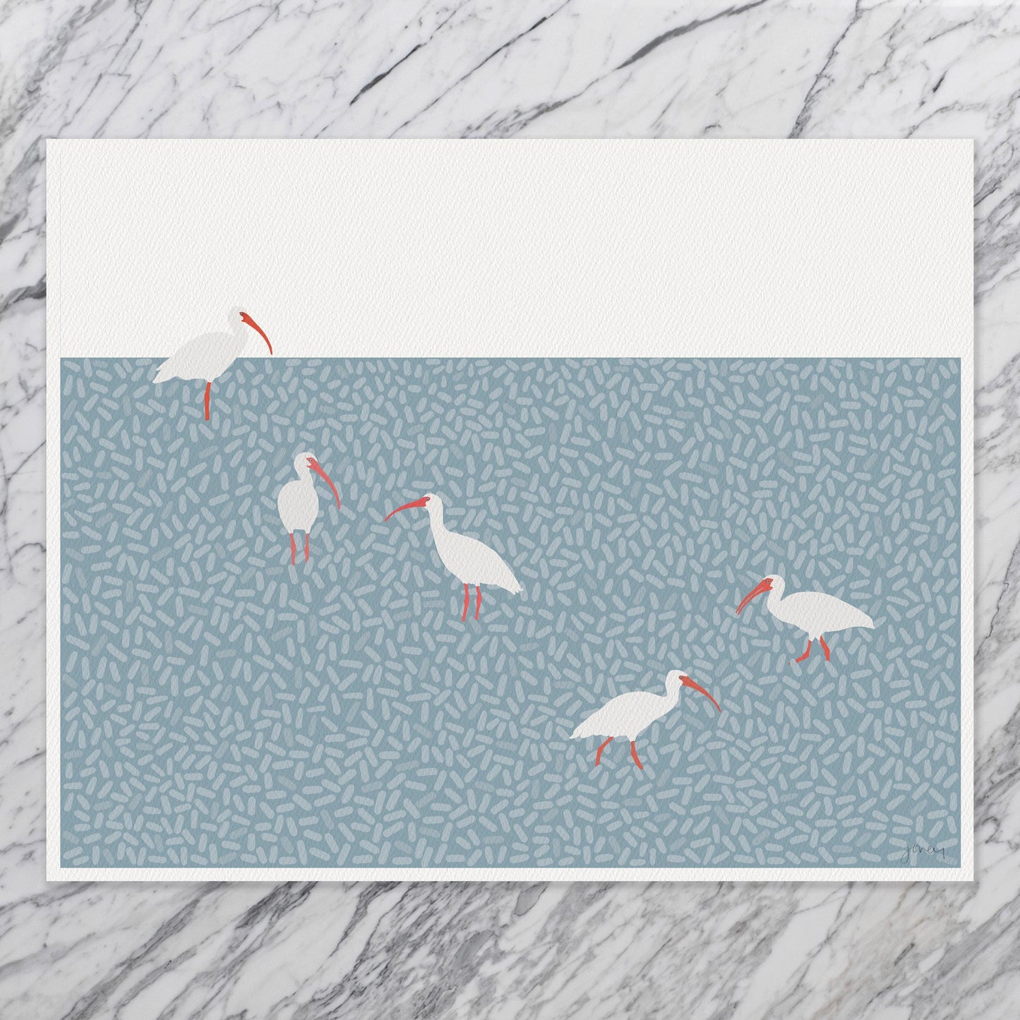 American White Ibis Art Print - Unframed or Framed - 241215