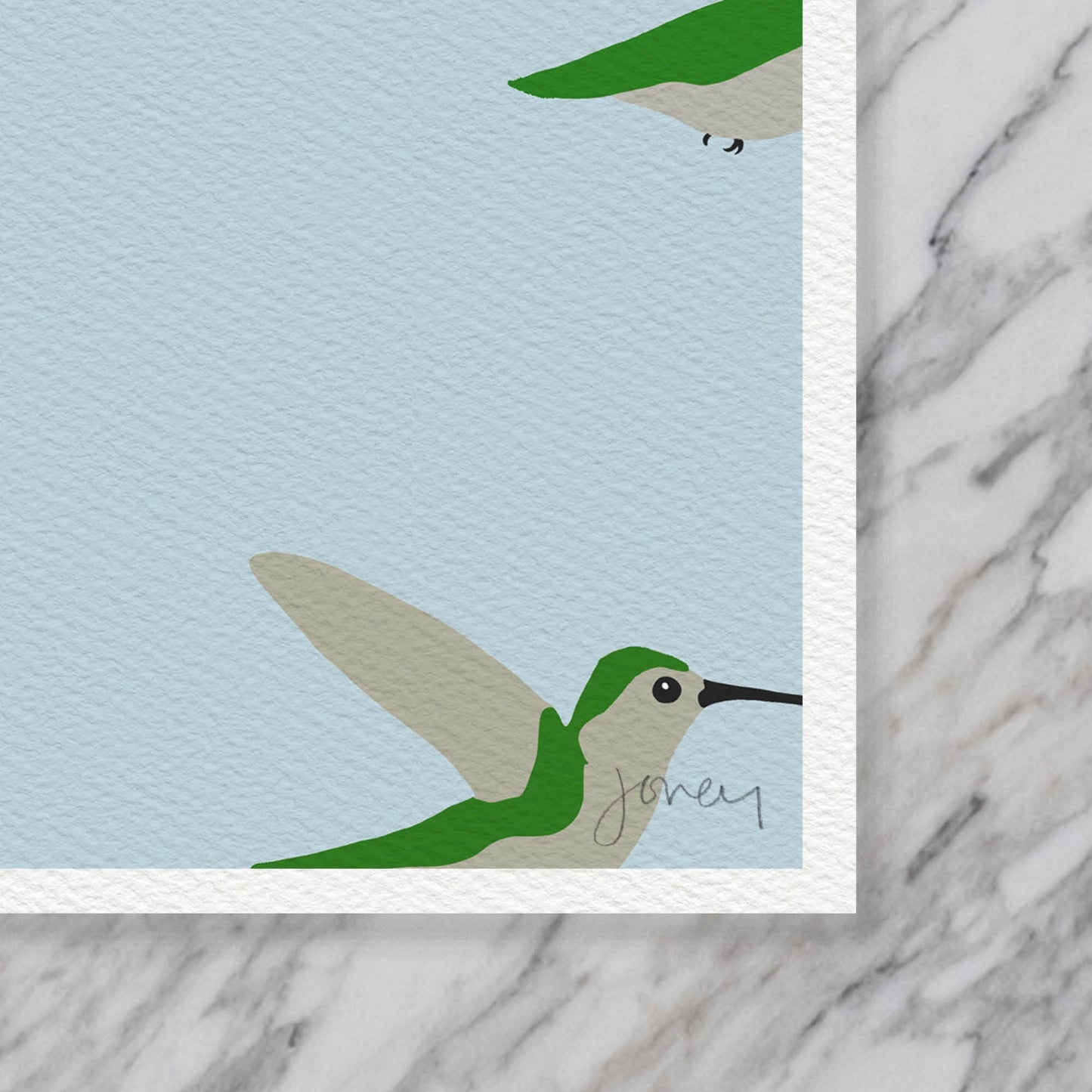 Hummingbirds Group Art Print - Unframed or Framed - 211217