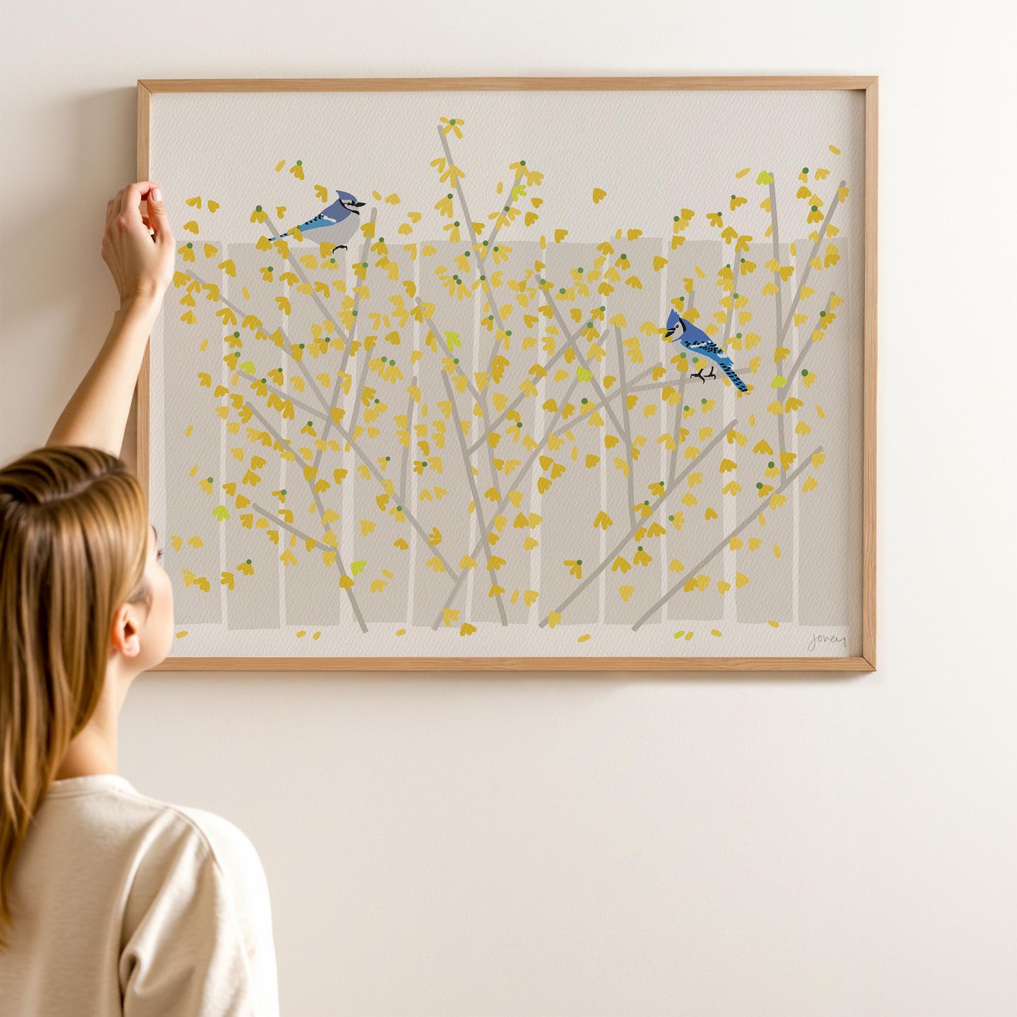 Blue Jays in Yellow Forsythia Art Print – Signed - 260426
