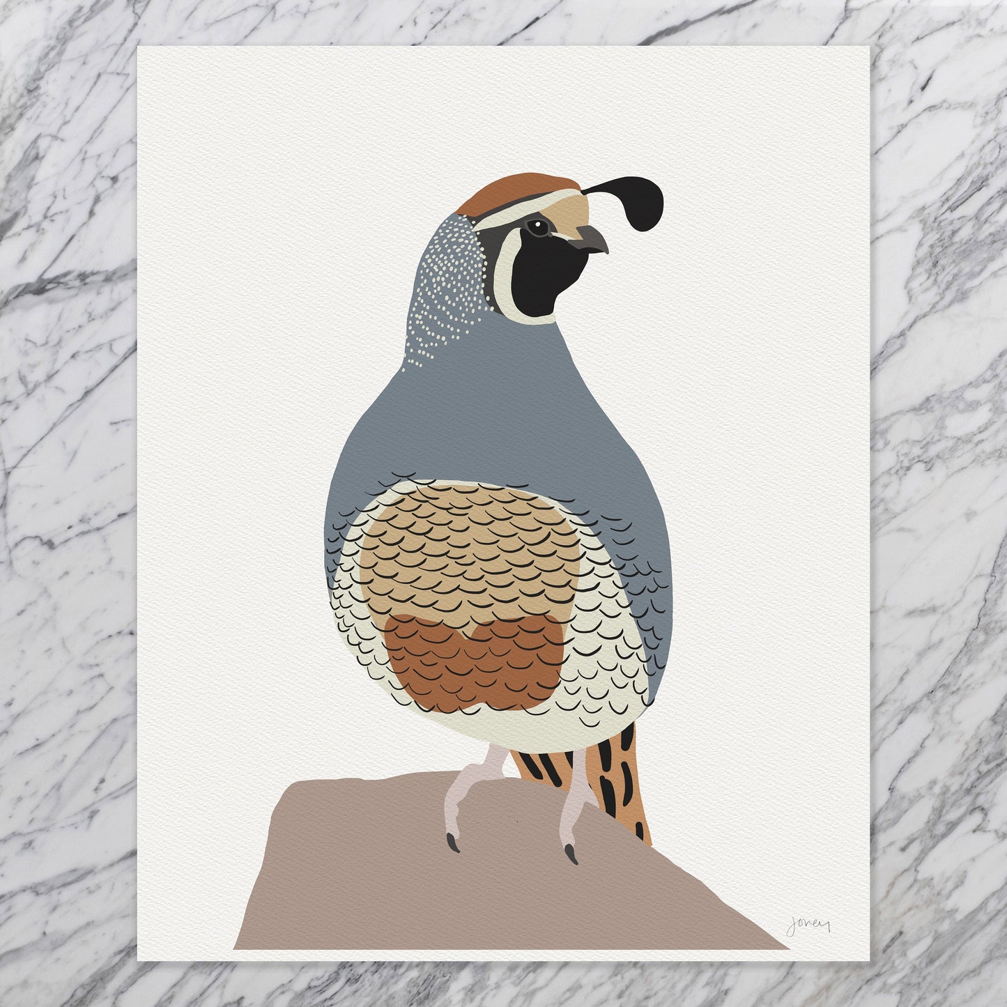 Quail Art Print - Unframed or Framed - 230208