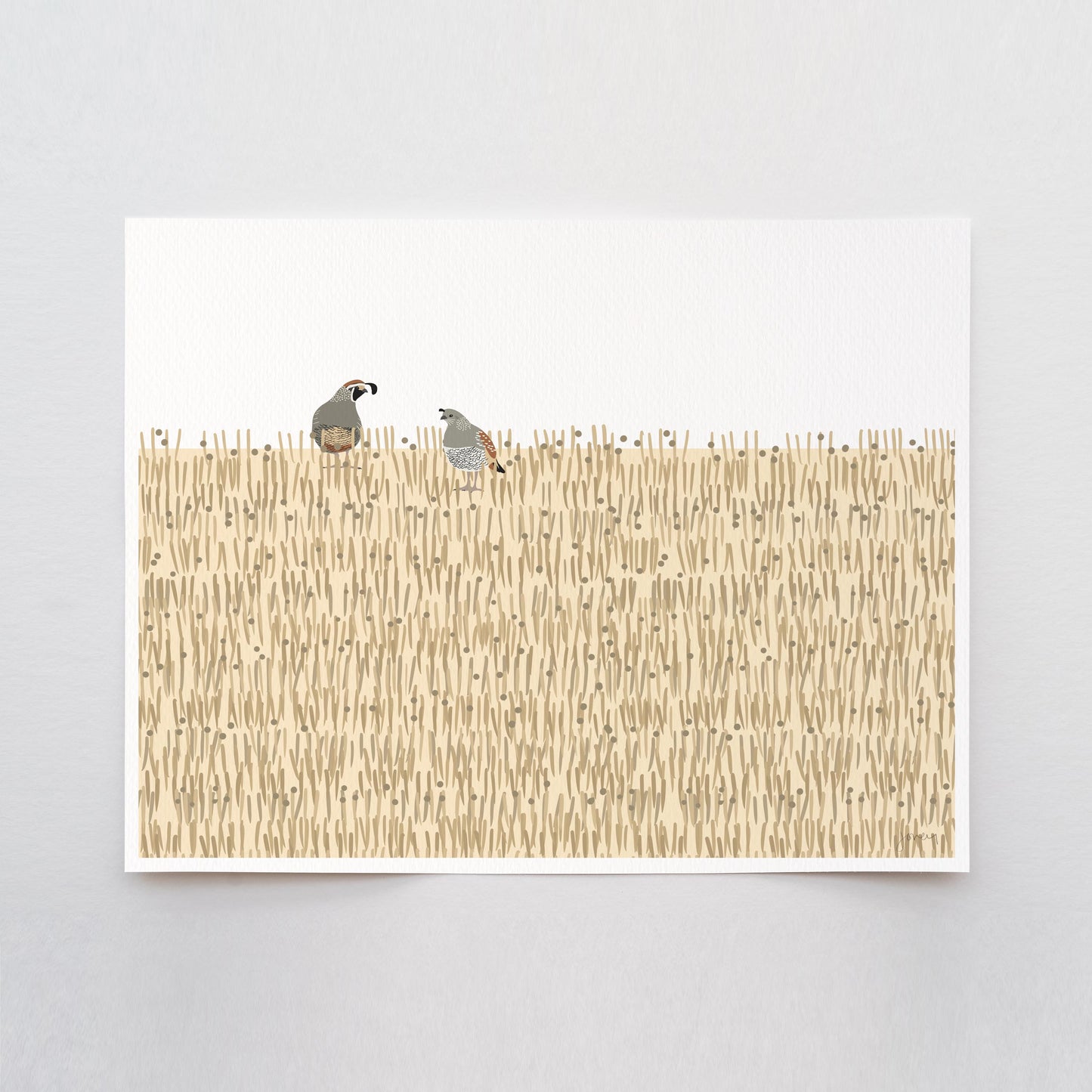 California Quail Art Print - Unframed or Framed - 250115