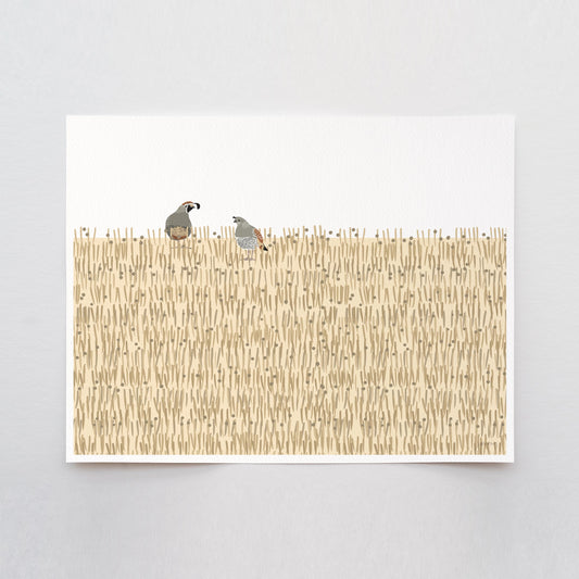California Quail Art Print - Unframed or Framed - 250115