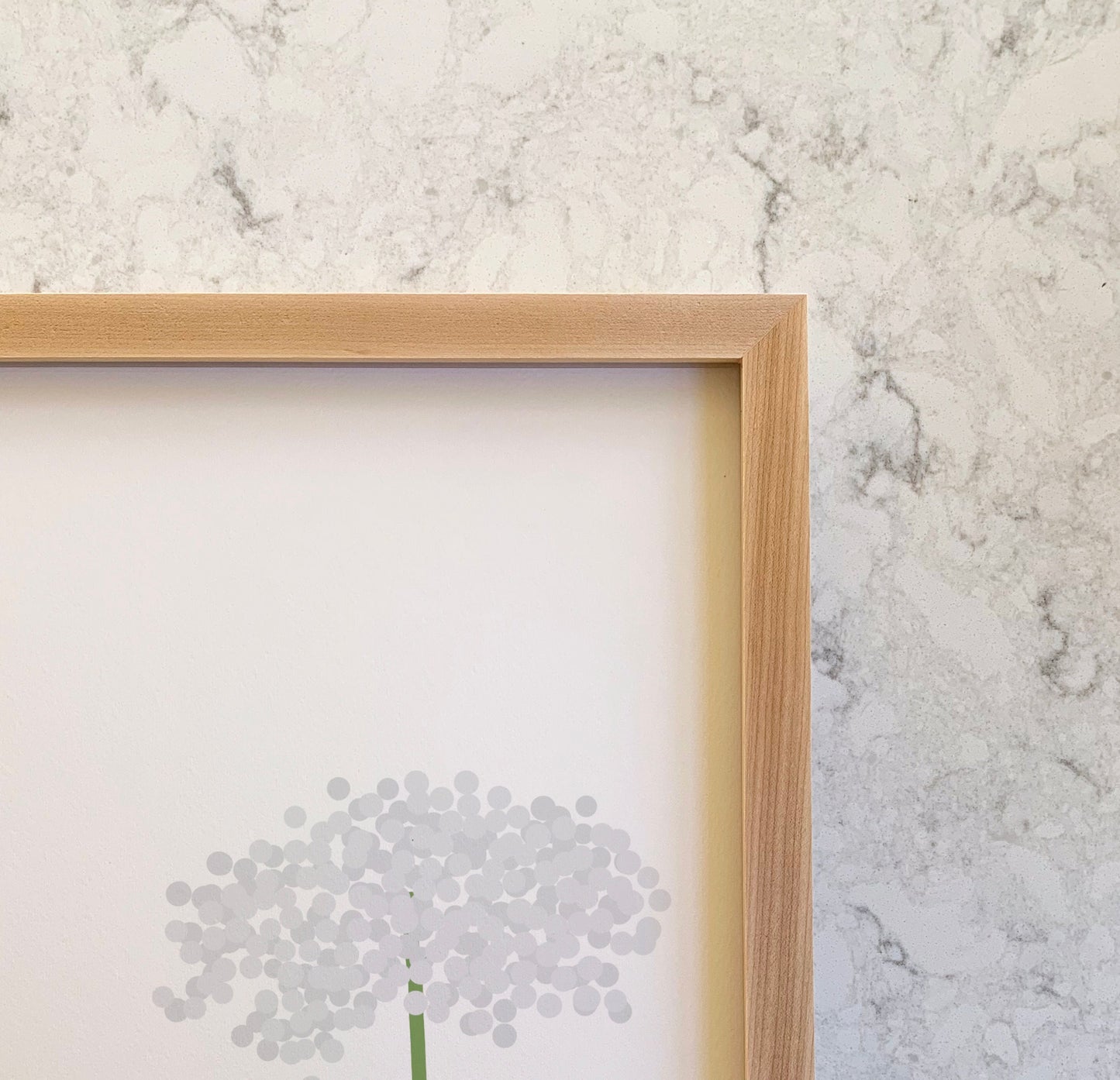 Wild Carrot Queen Anne's Lace Art Print - Framed or Unframed - 150819