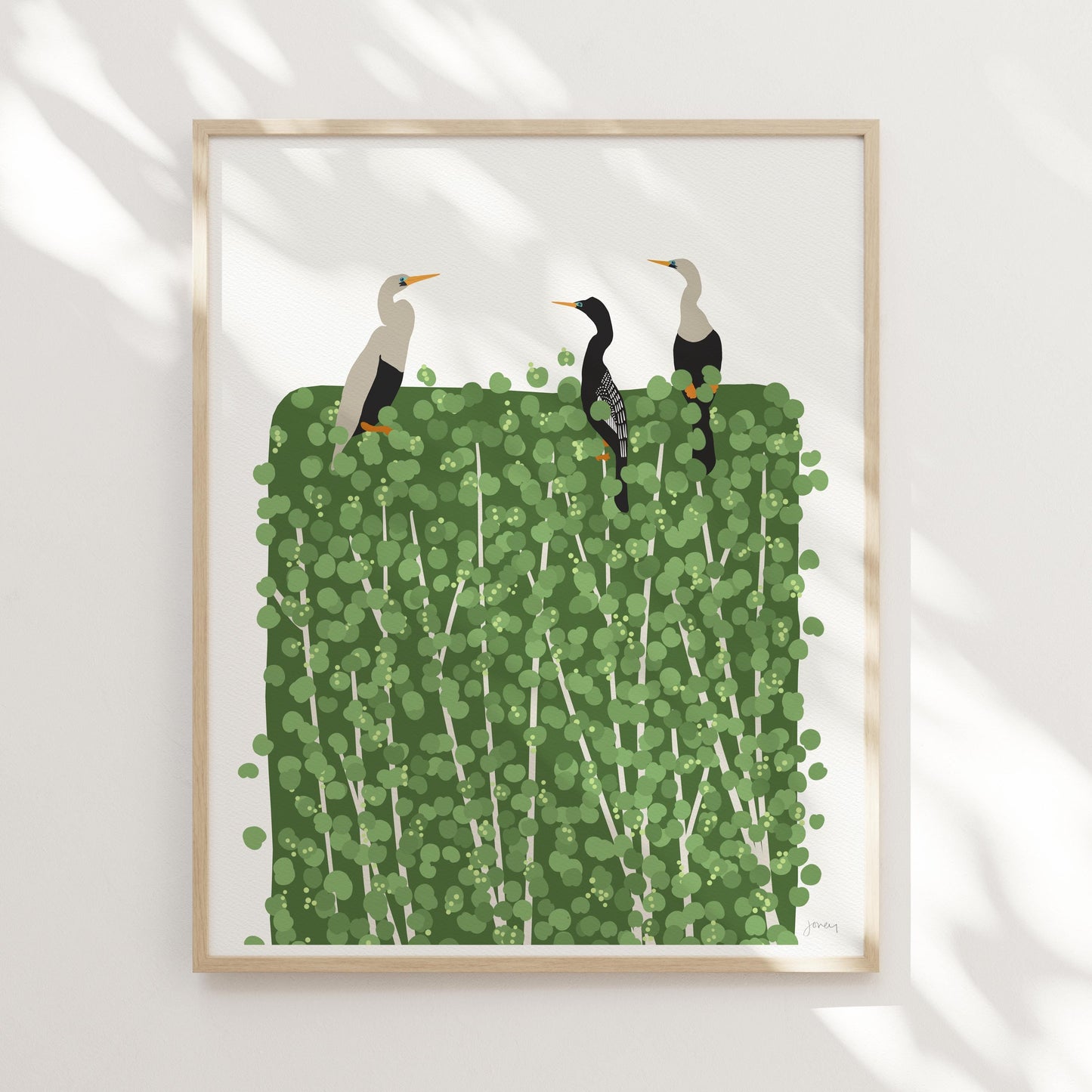 Anhingas Art Print - Unframed or Framed - 250522