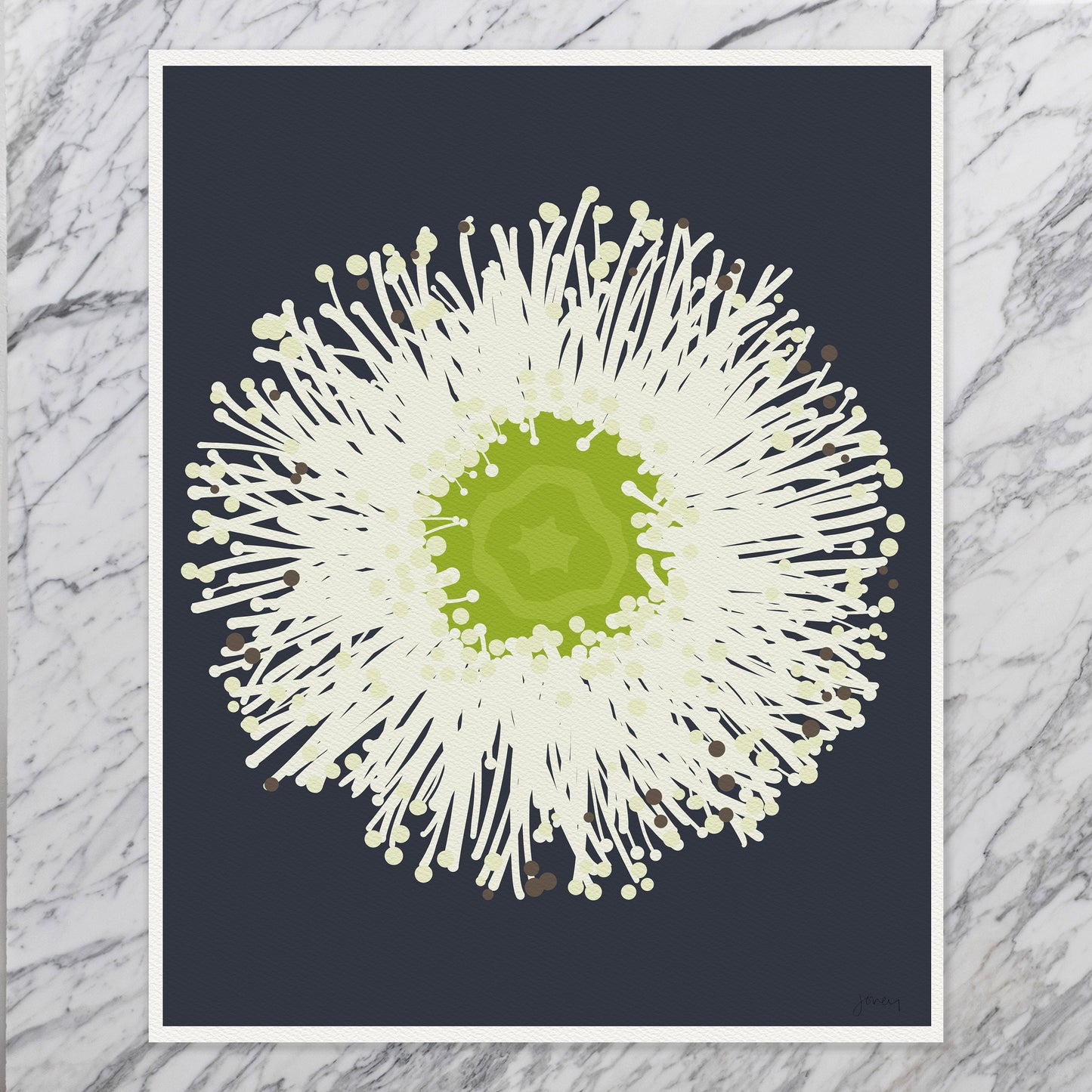 Eucalyptus Flower Art Print - Unframed or Framed - 140430