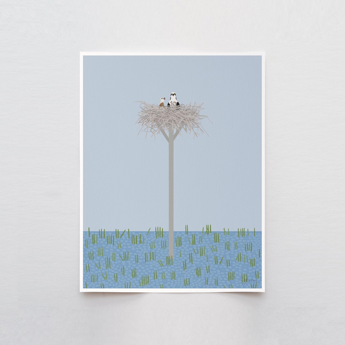 Osprey and Chick in Nest Art Print - Signed - 260621