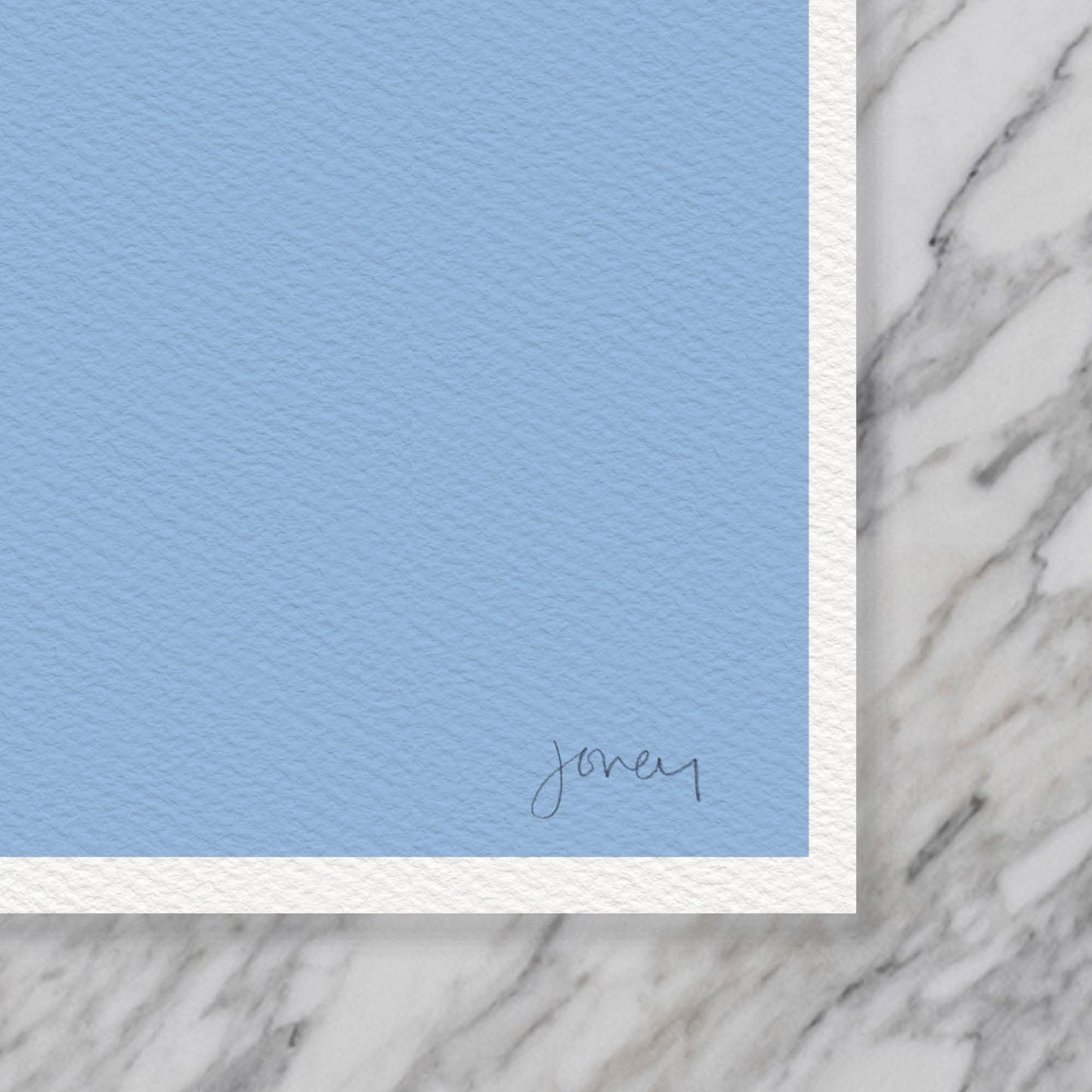 Pair of Mallards Art Print - Unframed or Framed -  231119