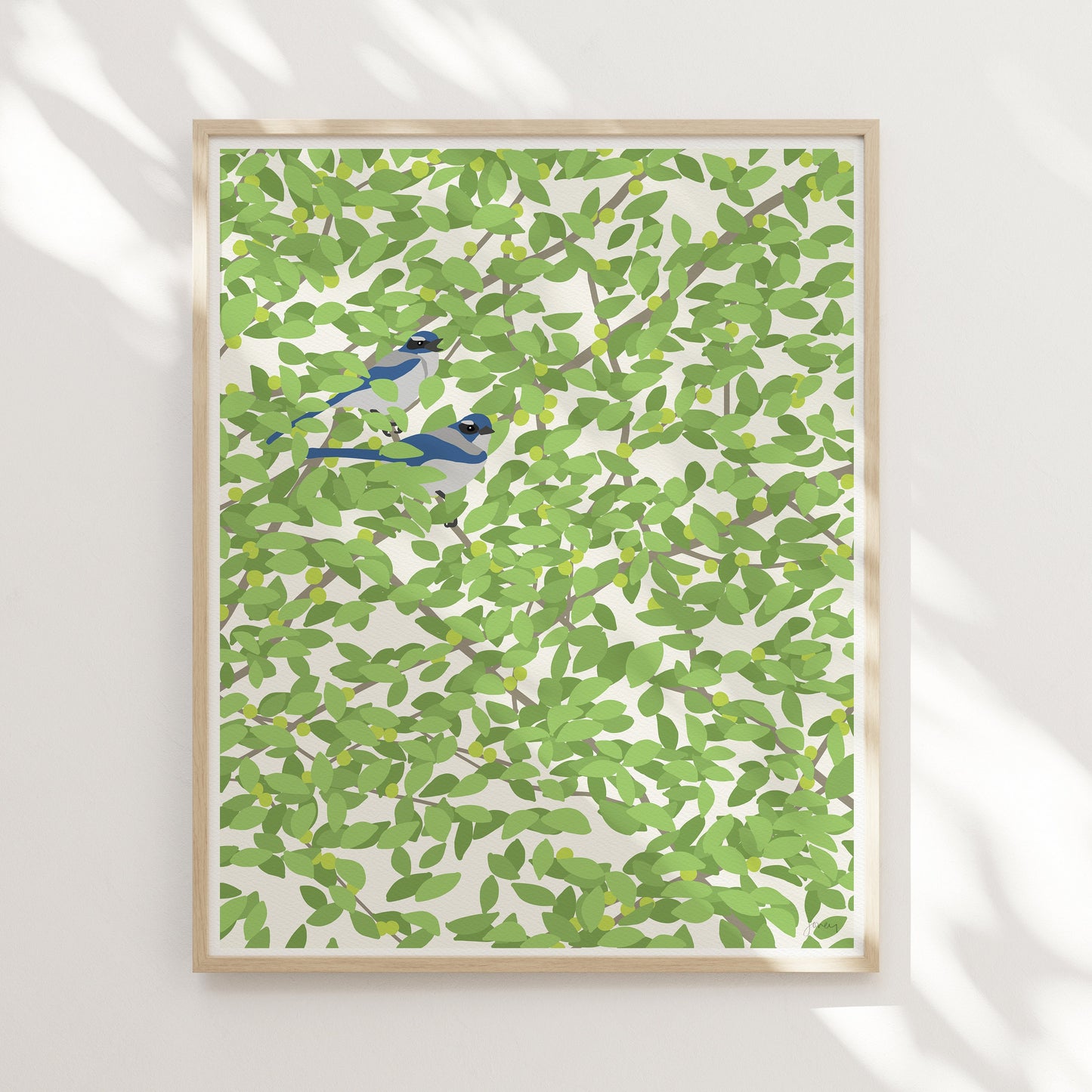 Pair of Blue Jays Art Print - Unframed or Framed - 140501