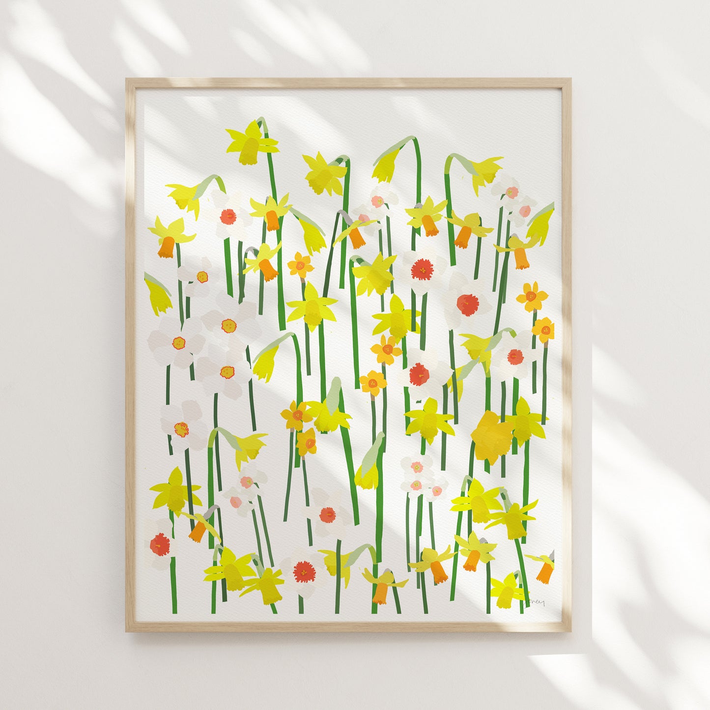 Spring Flowering Daffodils Art Print - Unframed or Framed - 240407