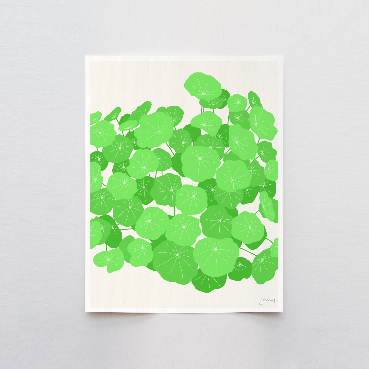 Nasturtium Leaves Art Print - Unframed or Framed - 120131