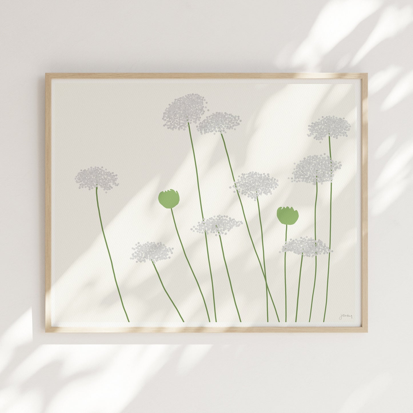Wild Carrot Queen Anne's Lace Art Print - Framed or Unframed - 150819