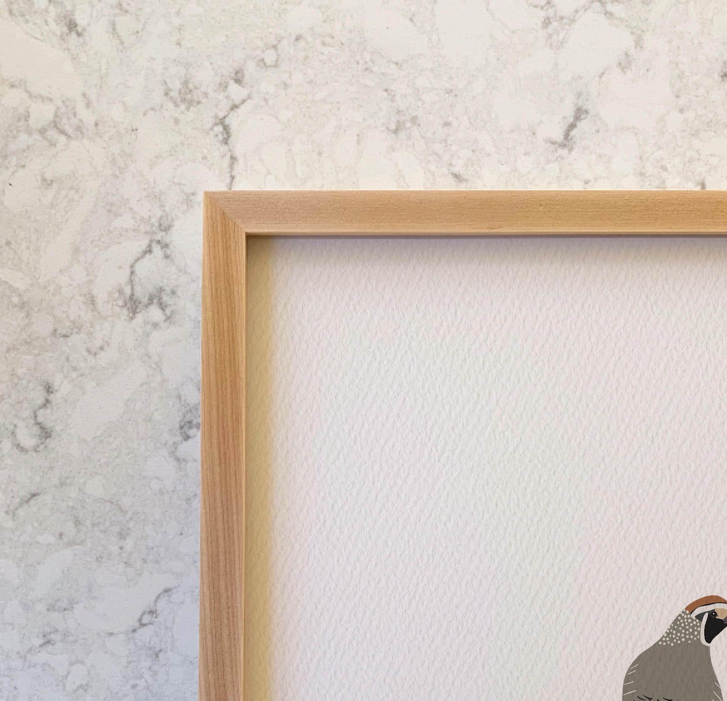 California Quail Art Print - Unframed or Framed - 250115