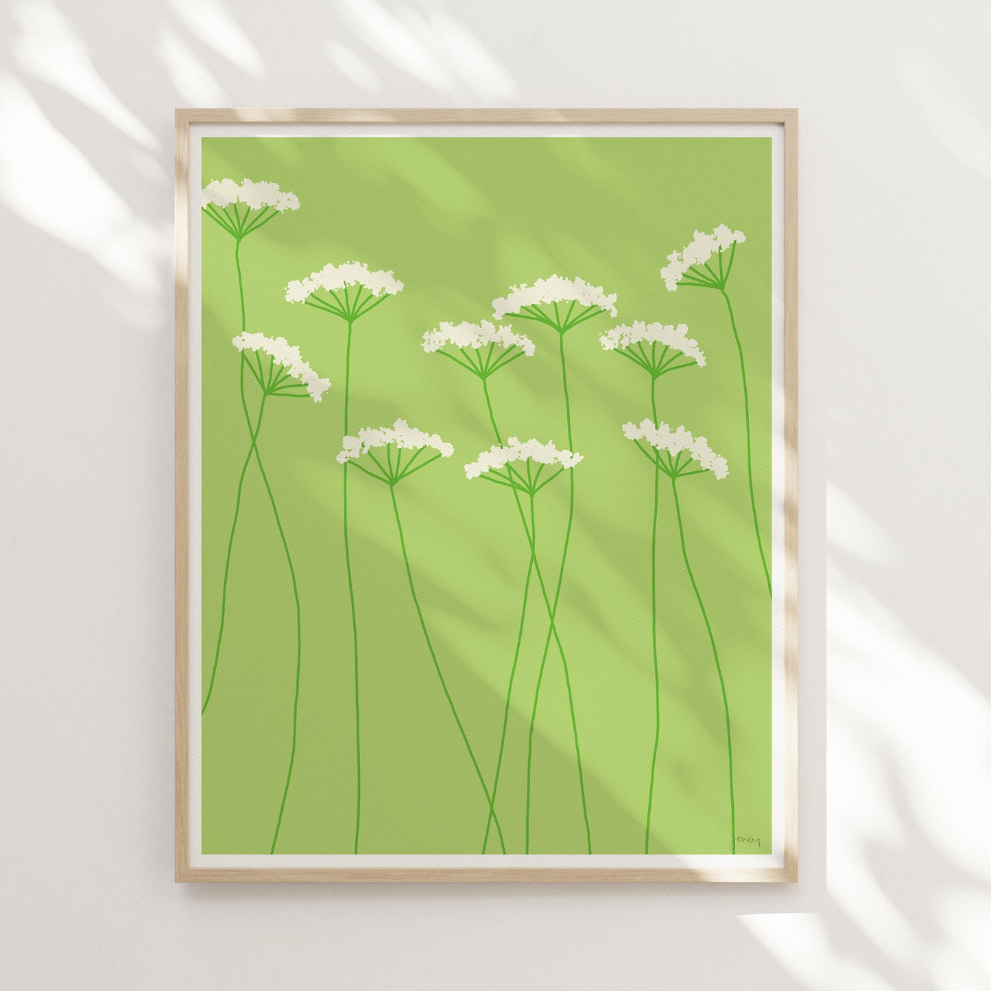Queen Anne's Lace Art Print - Unframed or Framed - 110801