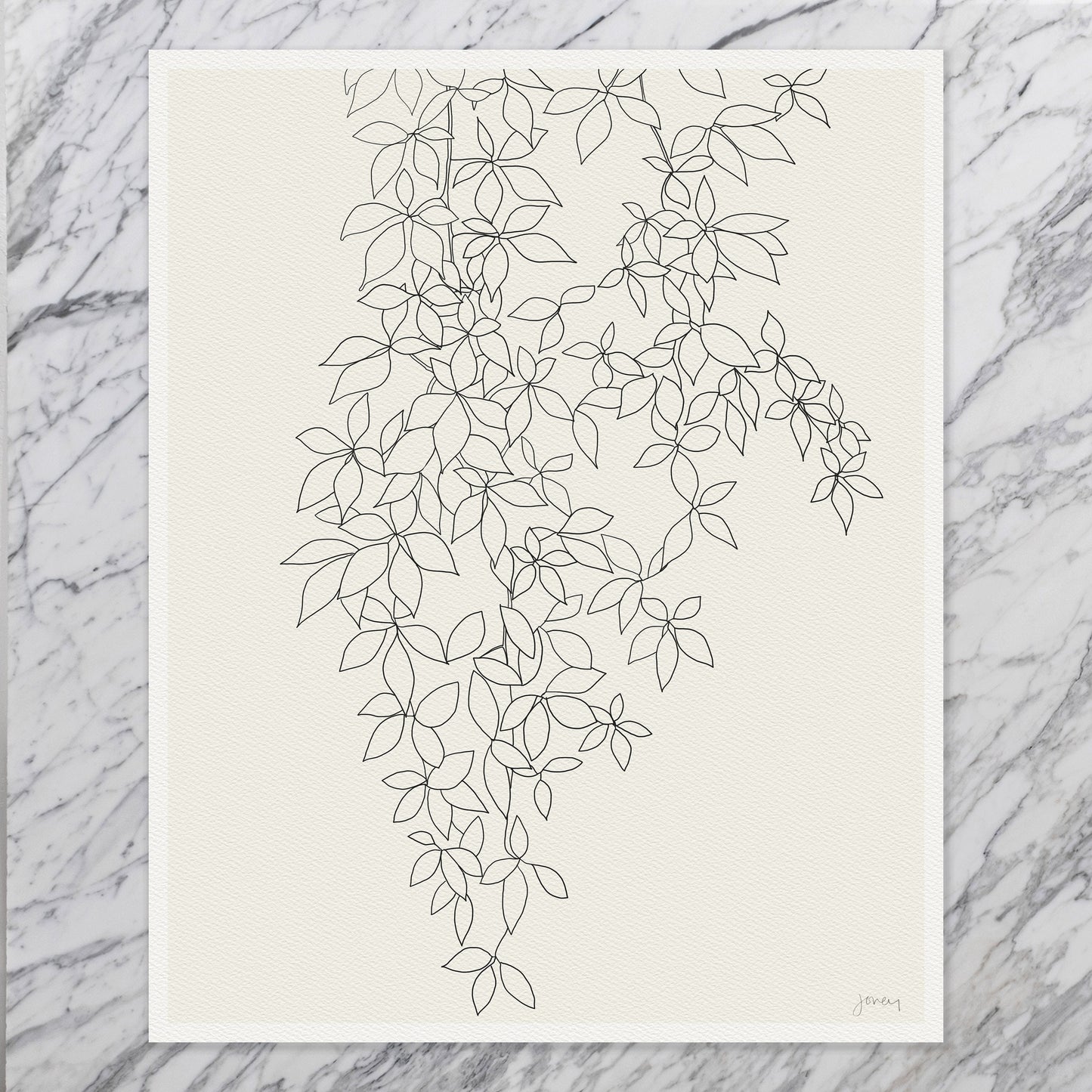 Botanical Line Drawing Art Print - Unframed or Framed -140905