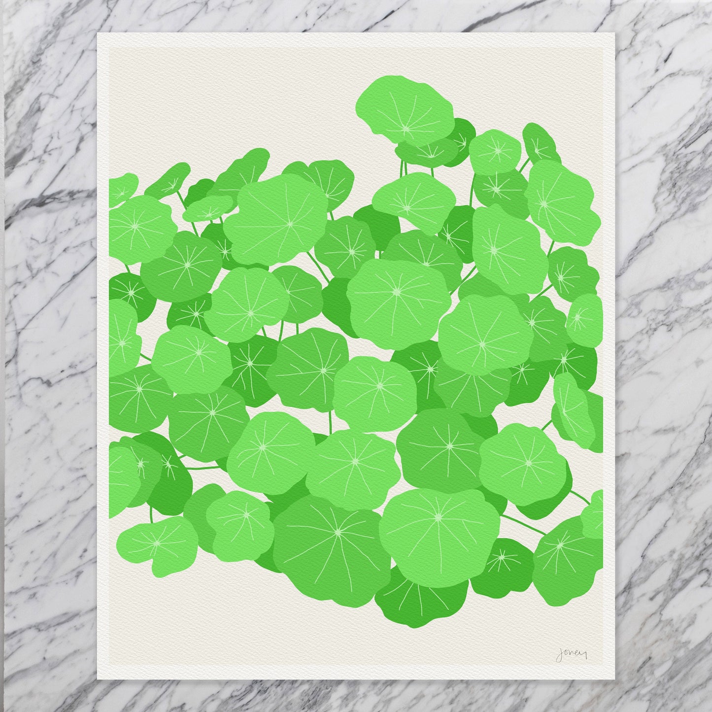 Nasturtium Leaves Art Print - Unframed or Framed - 120131