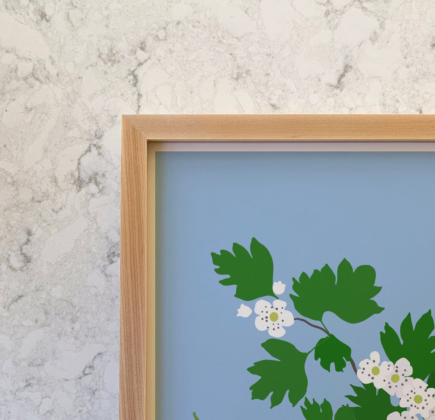 Hawthorn Blossoms Art Print - Unframed or Framed - 201107