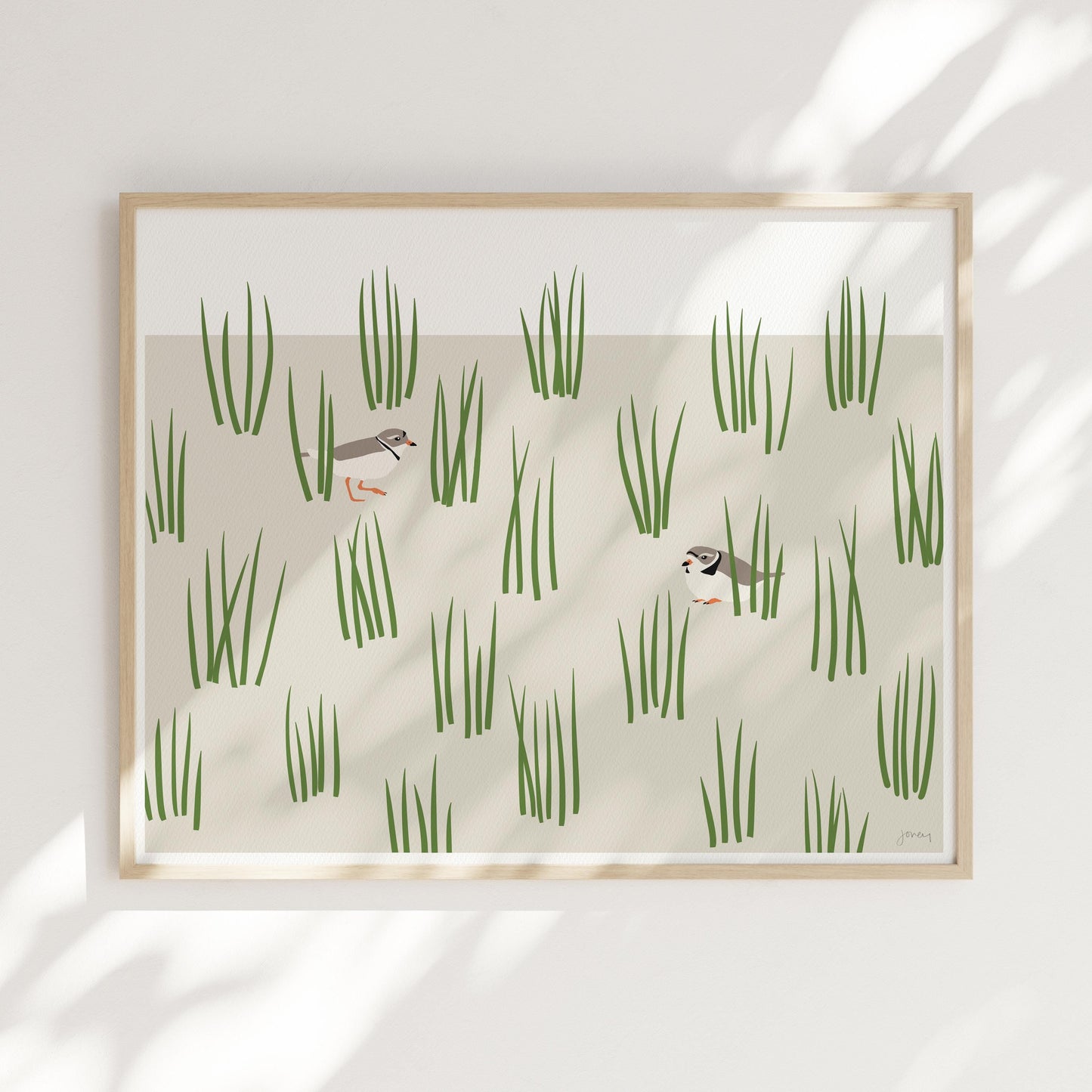 Plovers in Grass Dunes Art Print - Unframed or Framed - 250124