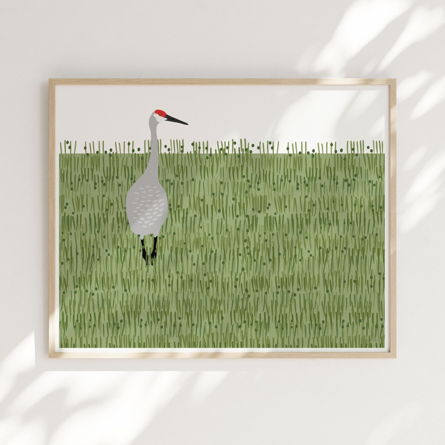 Sandhill Crane Art Print - Unframed or Framed - 241117