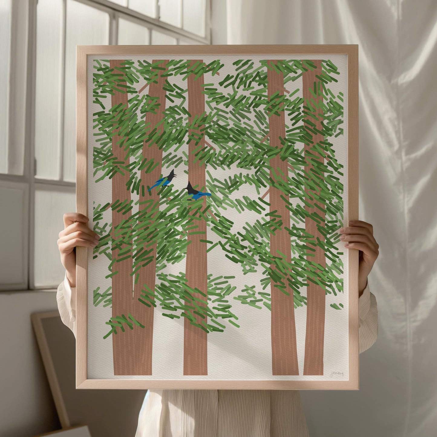 Redwood Trees with Steller's Jays - Signed - 260721