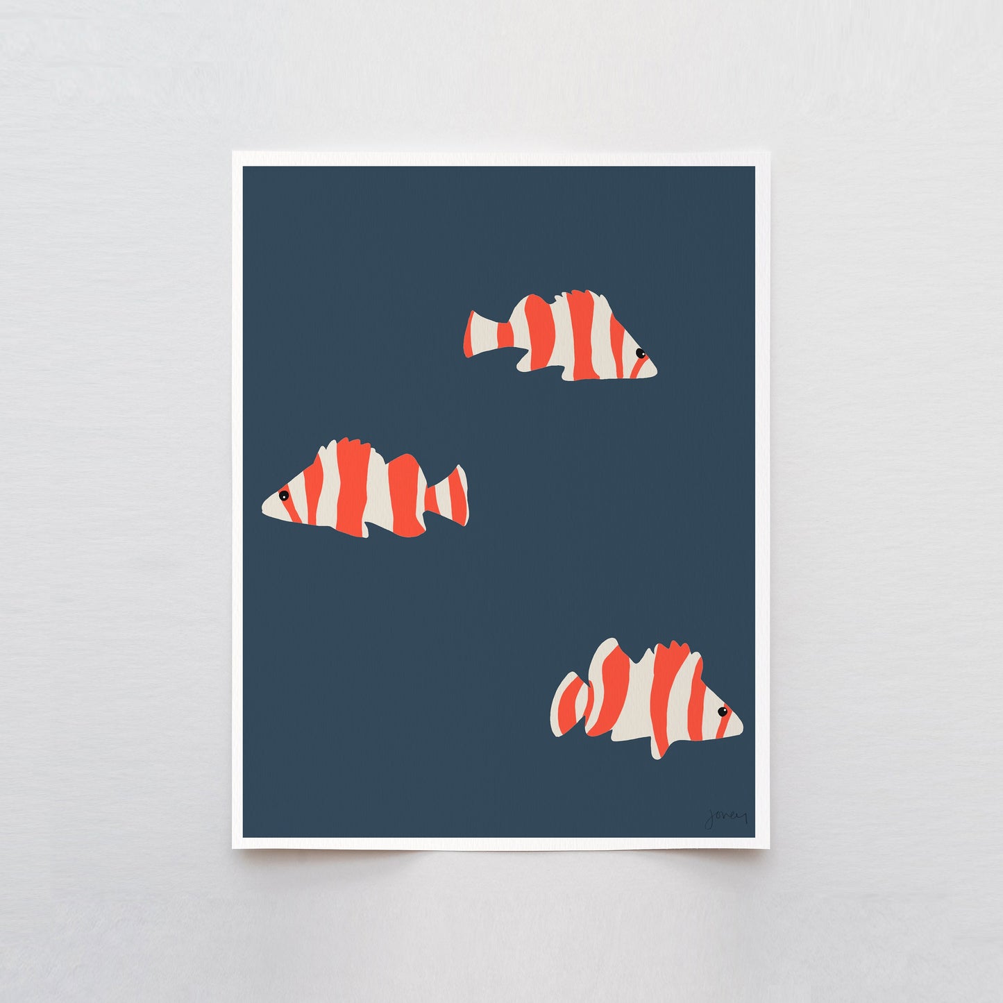 Red Banded Rockfish Art Print - Unframed or Framed - 130114