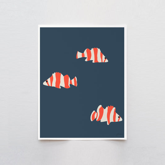 Red Banded Rockfish Art Print - Unframed or Framed - 130114