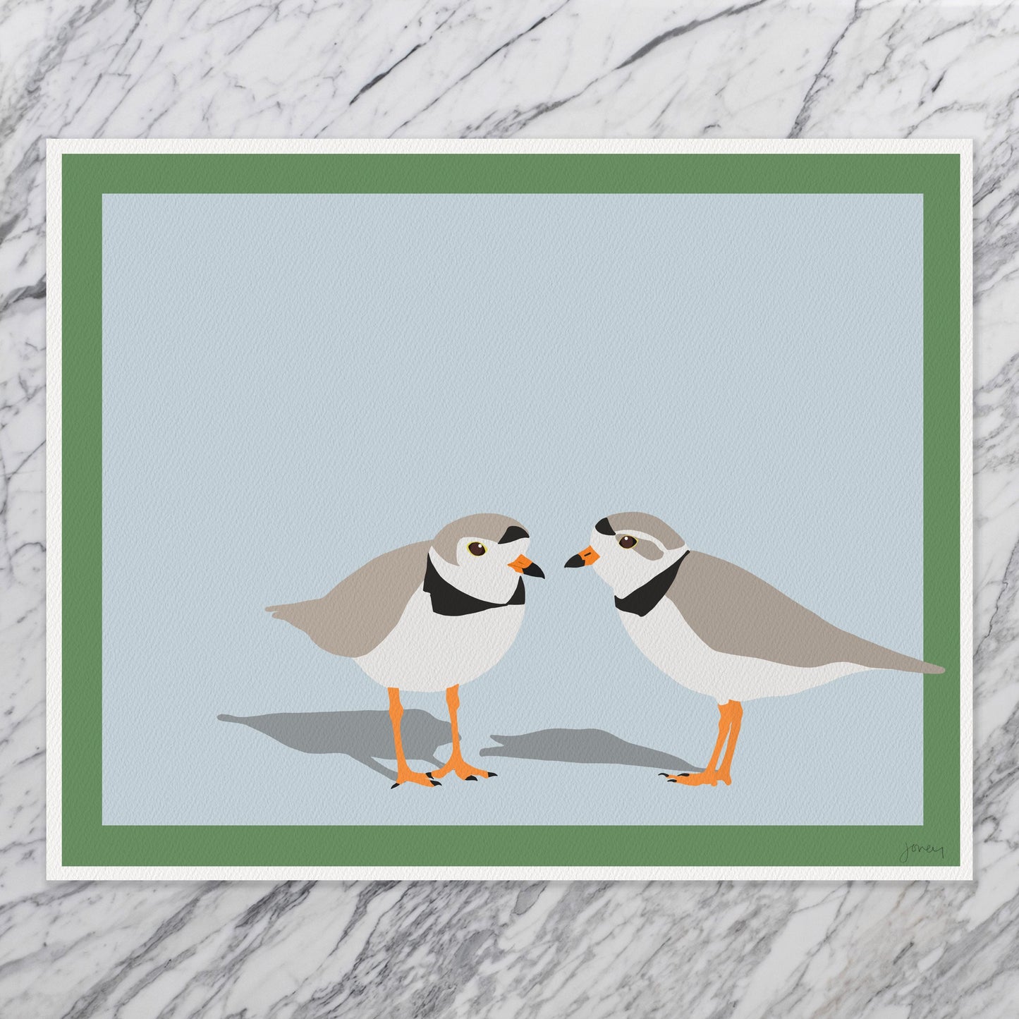 Pair of Plovers
