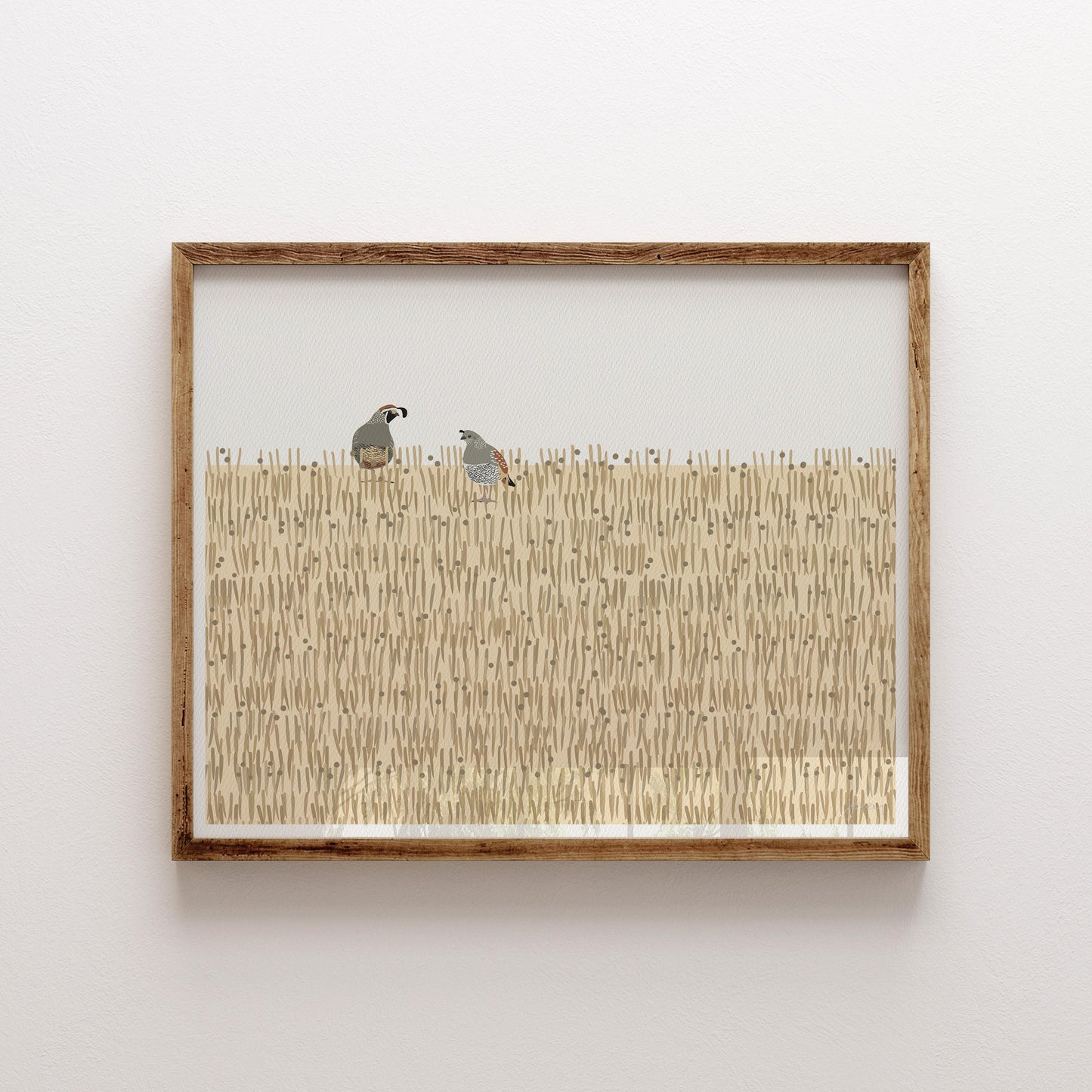 California Quail Art Print - Unframed or Framed - 250115