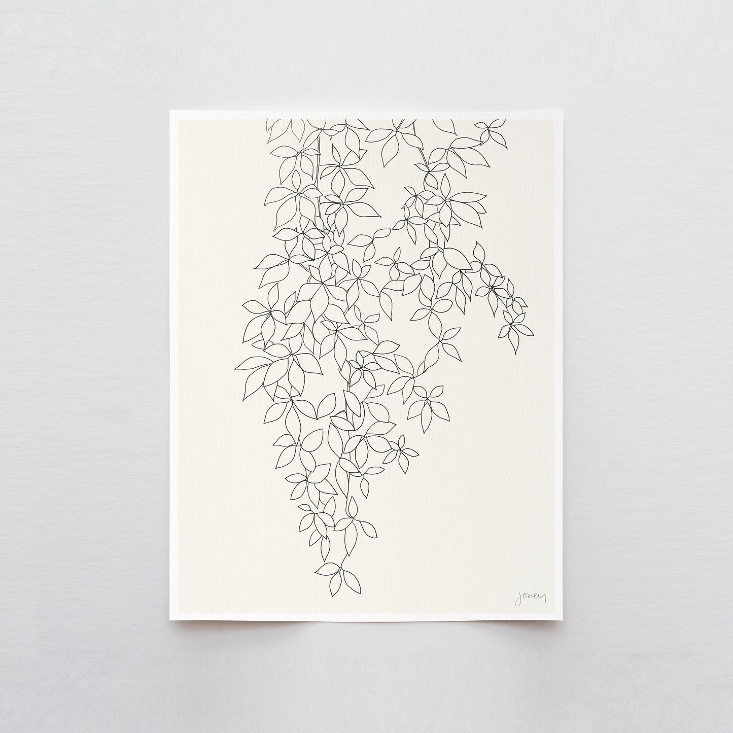 Botanical Line Drawing Art Print - Unframed or Framed -140905