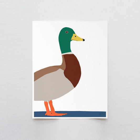 Mallard Art Print - Unframed or Framed - 230218