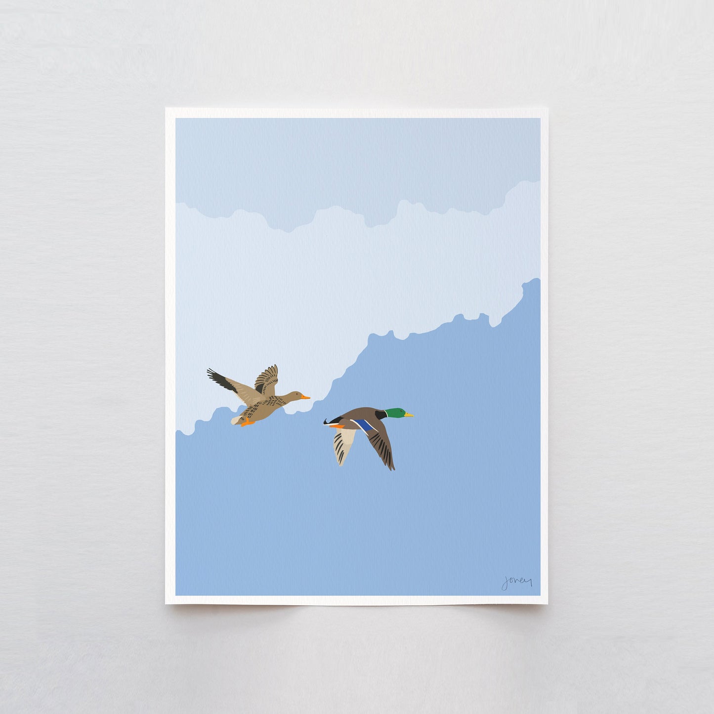 Pair of Mallards Art Print - Unframed or Framed -  231119